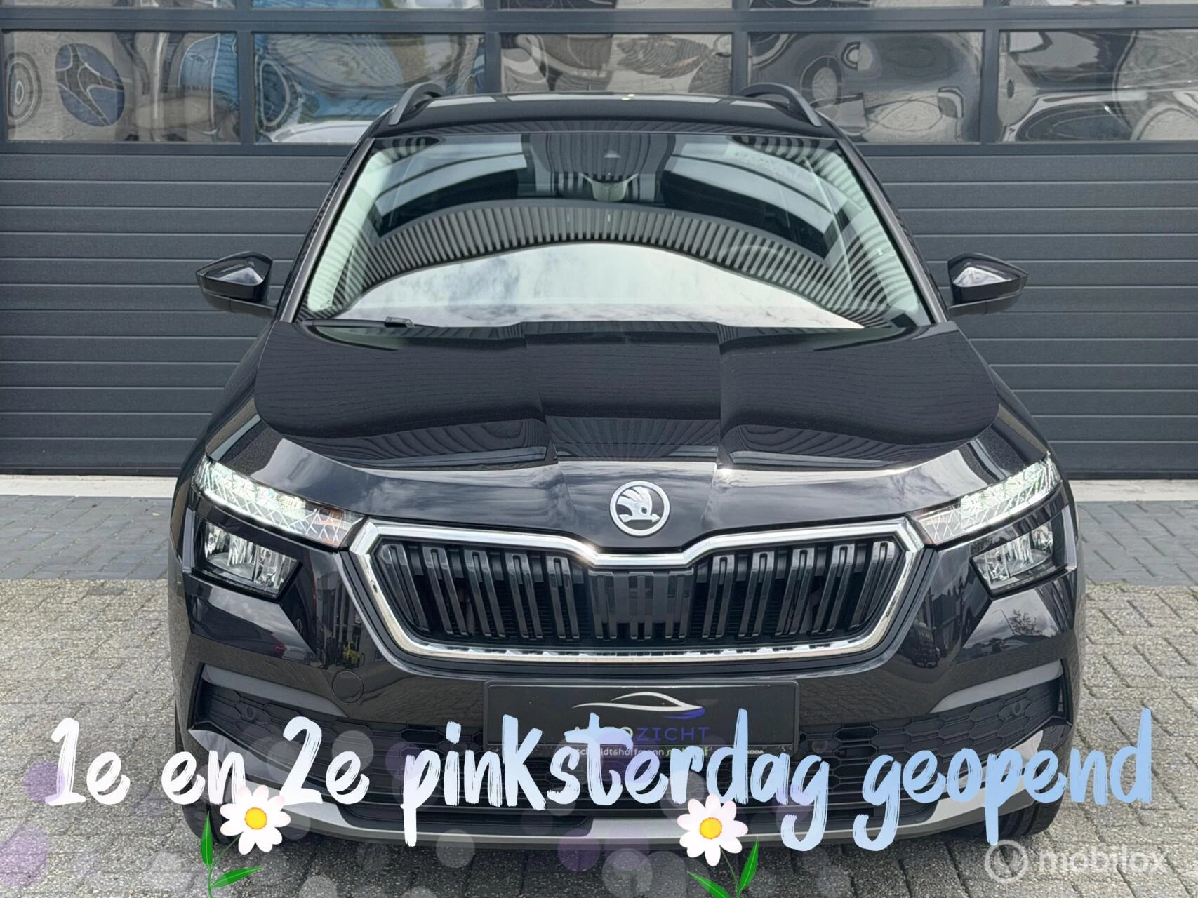 Hoofdafbeelding Škoda Kamiq