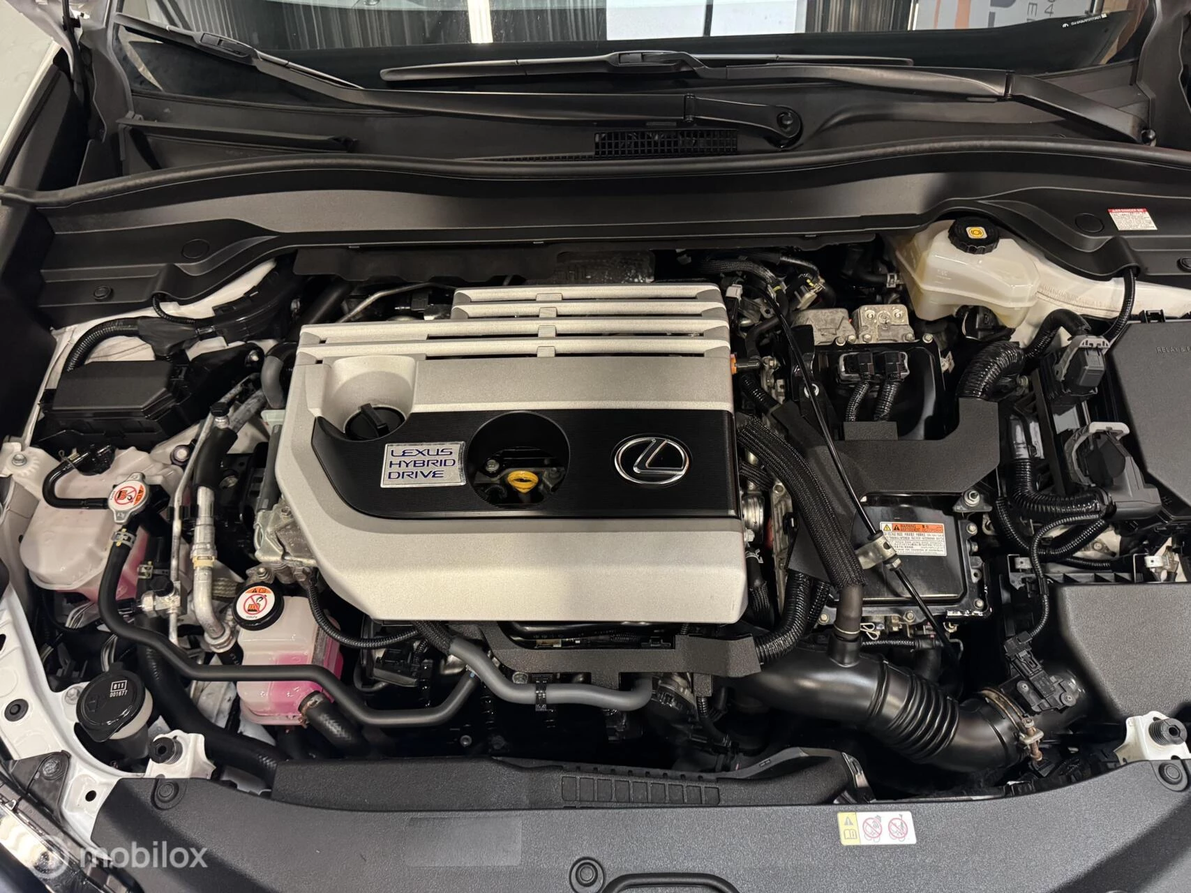 Hoofdafbeelding Lexus UX