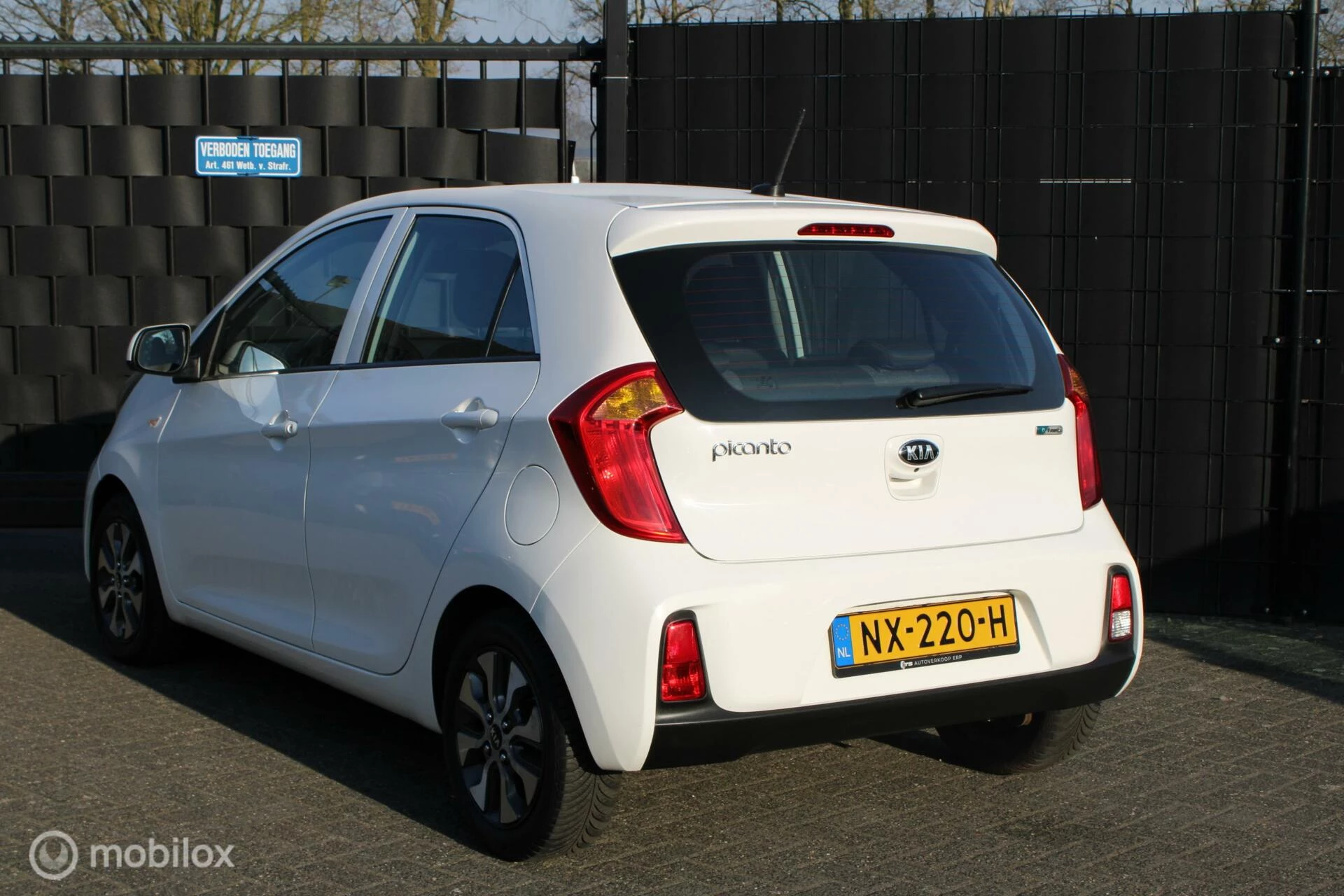 Hoofdafbeelding Kia Picanto