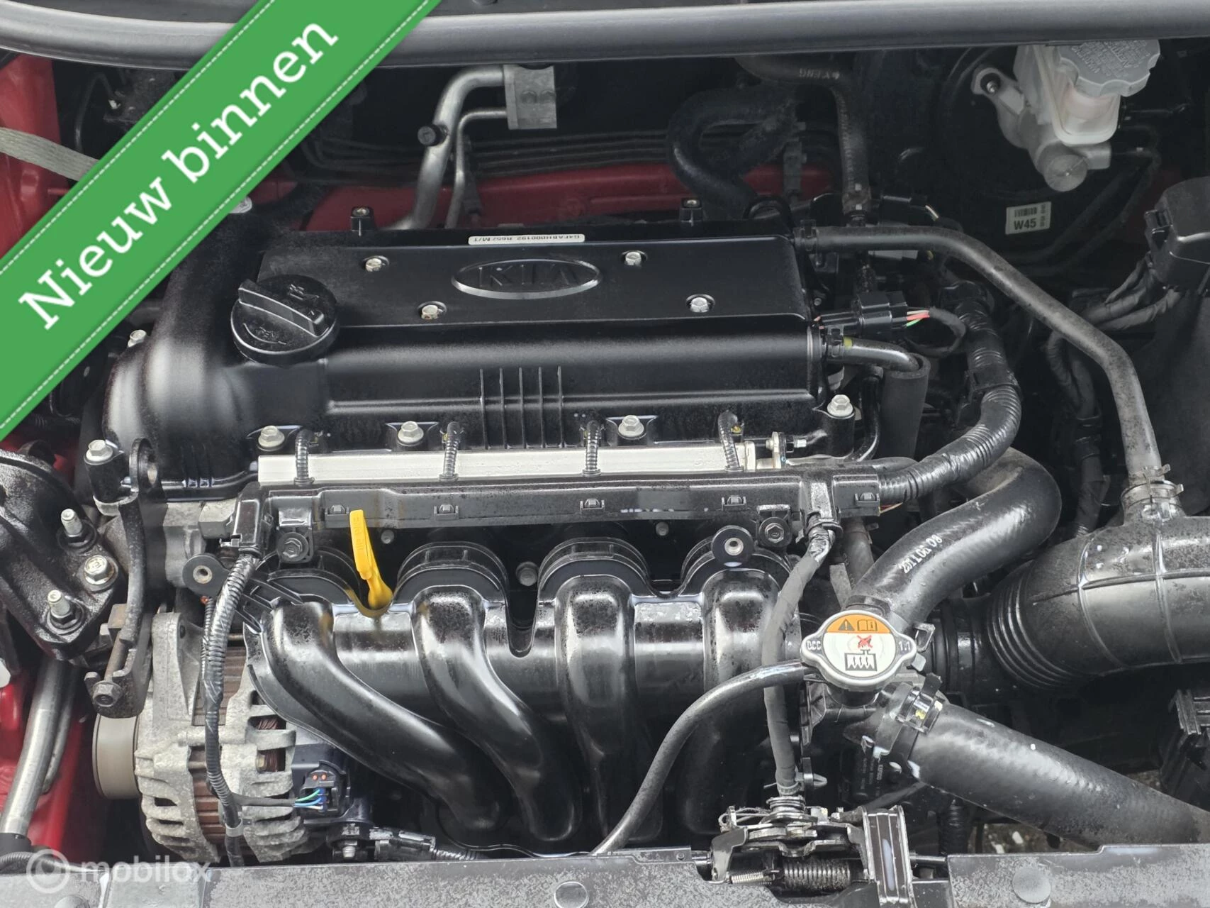 Hoofdafbeelding Kia Rio