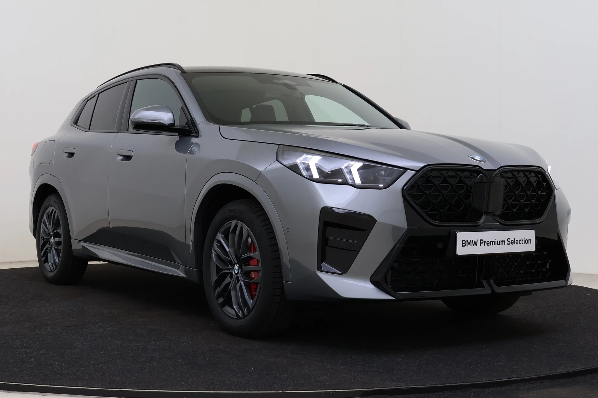 Hoofdafbeelding BMW X2