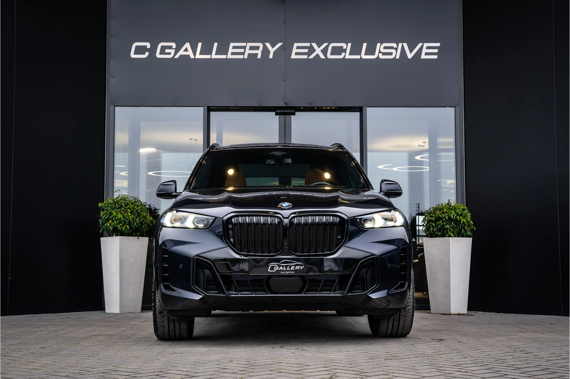 Hoofdafbeelding BMW X5