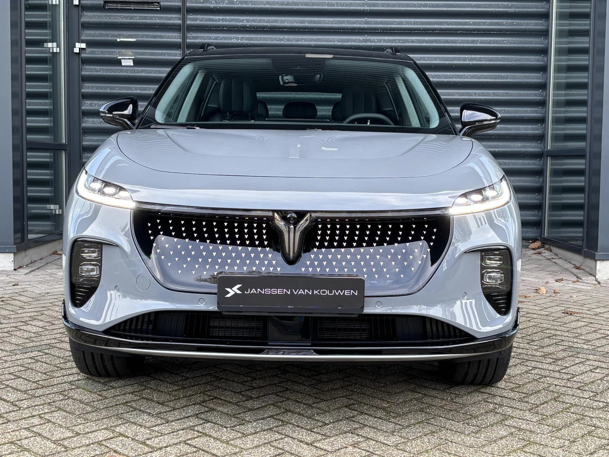 Hoofdafbeelding Voyah Courage