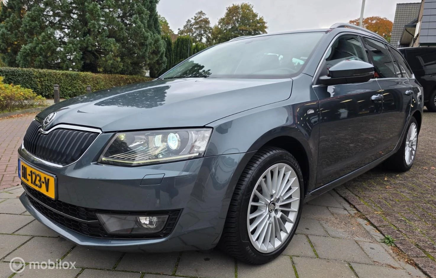 Hoofdafbeelding Škoda Octavia