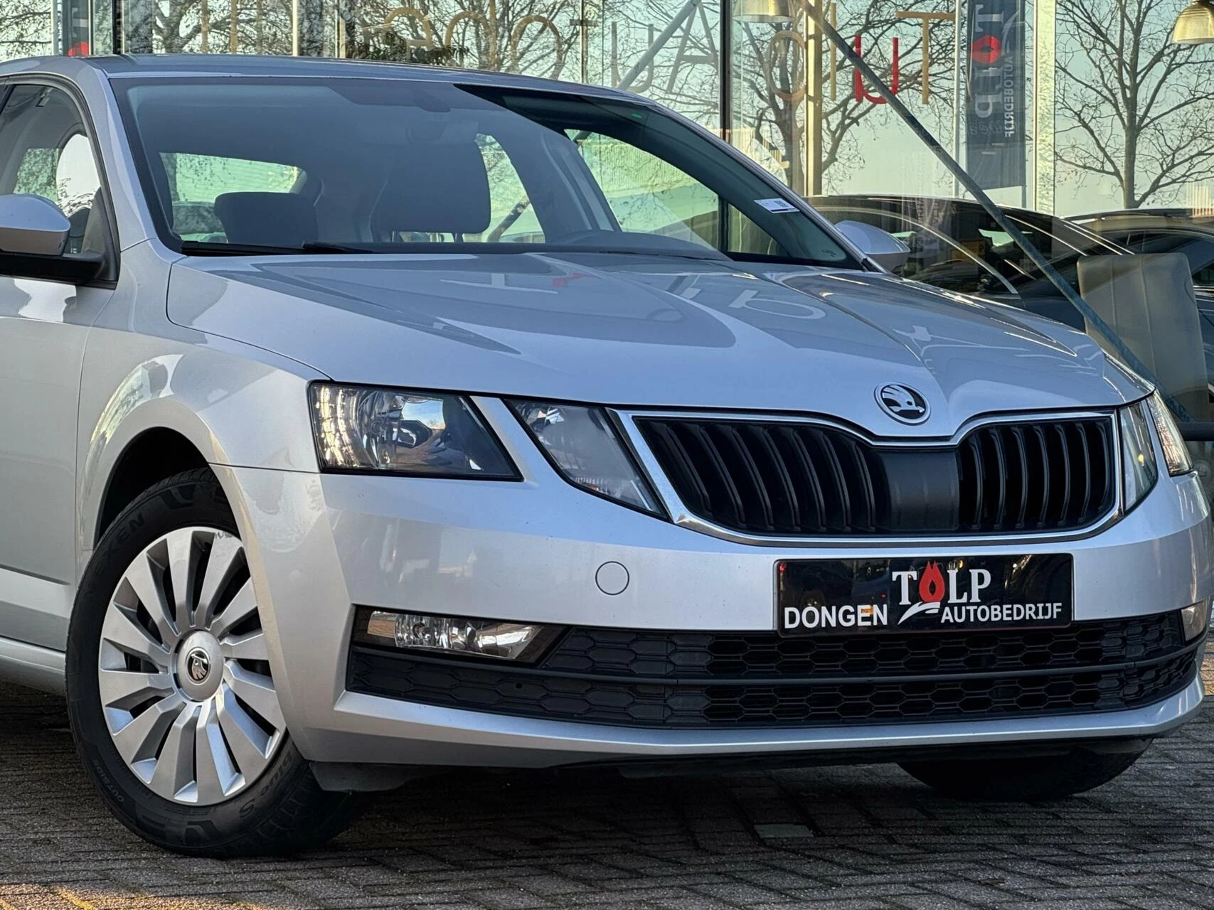 Hoofdafbeelding Škoda Octavia