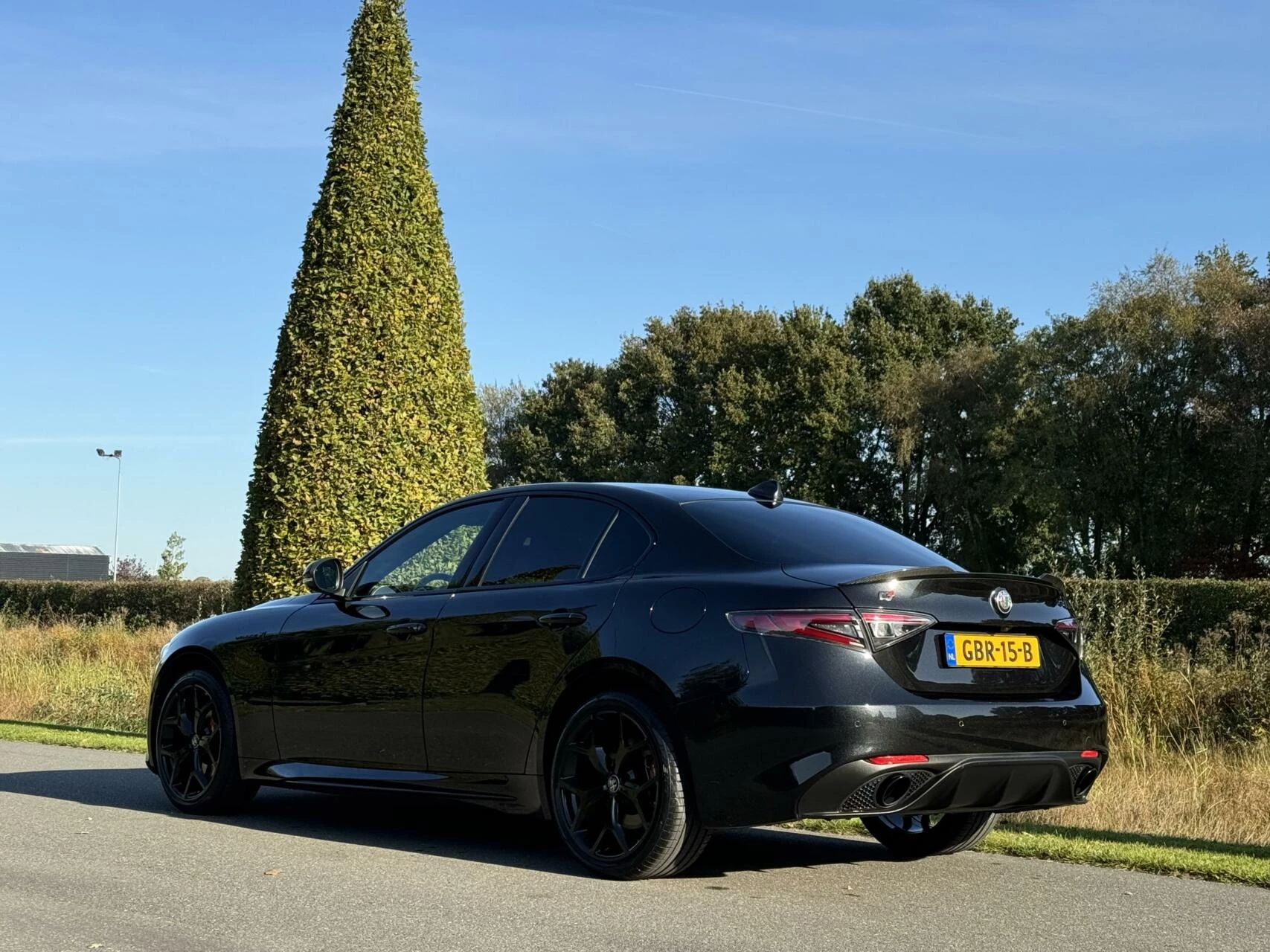 Hoofdafbeelding Alfa Romeo Giulia