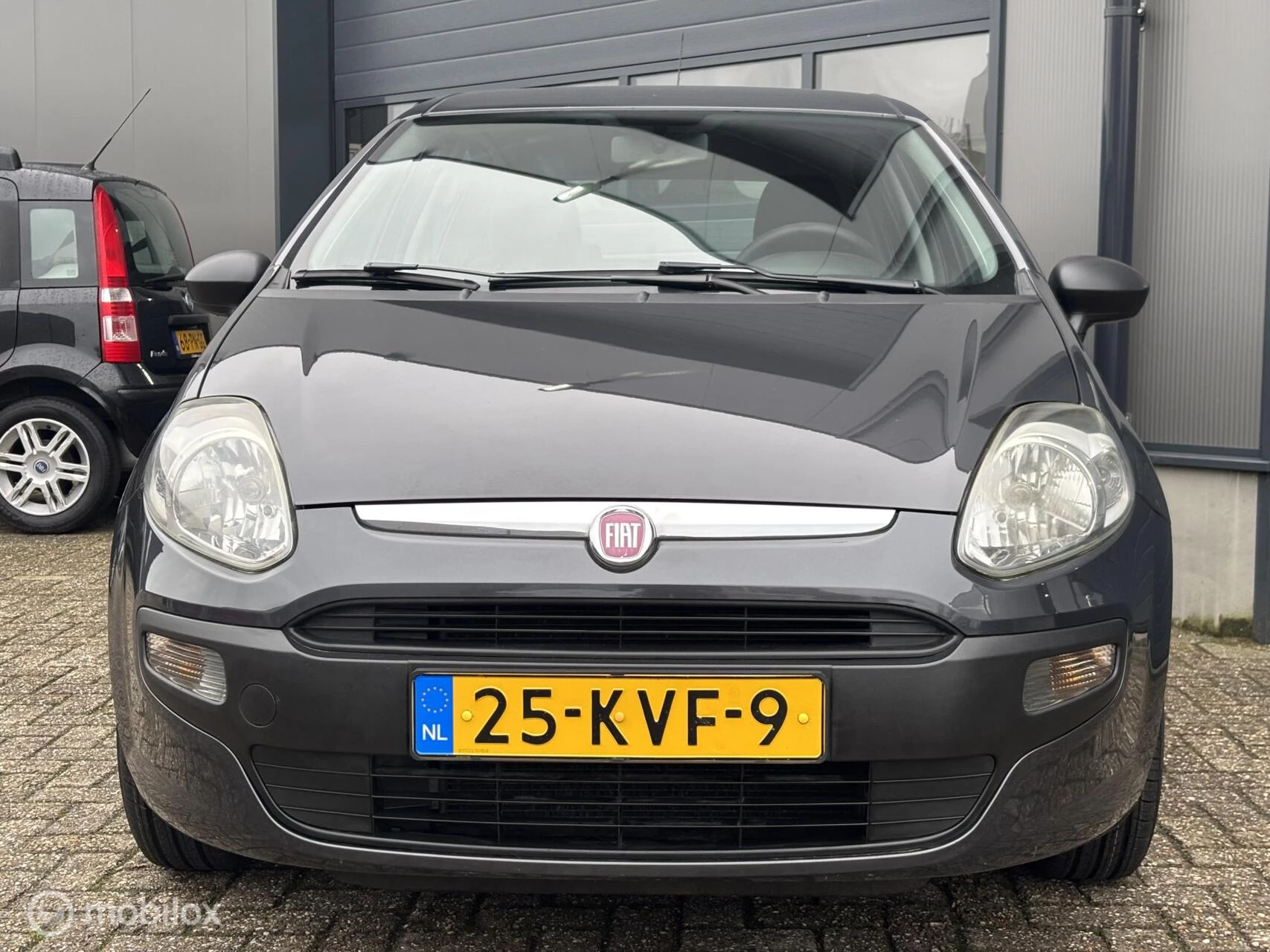 Hoofdafbeelding Fiat Punto