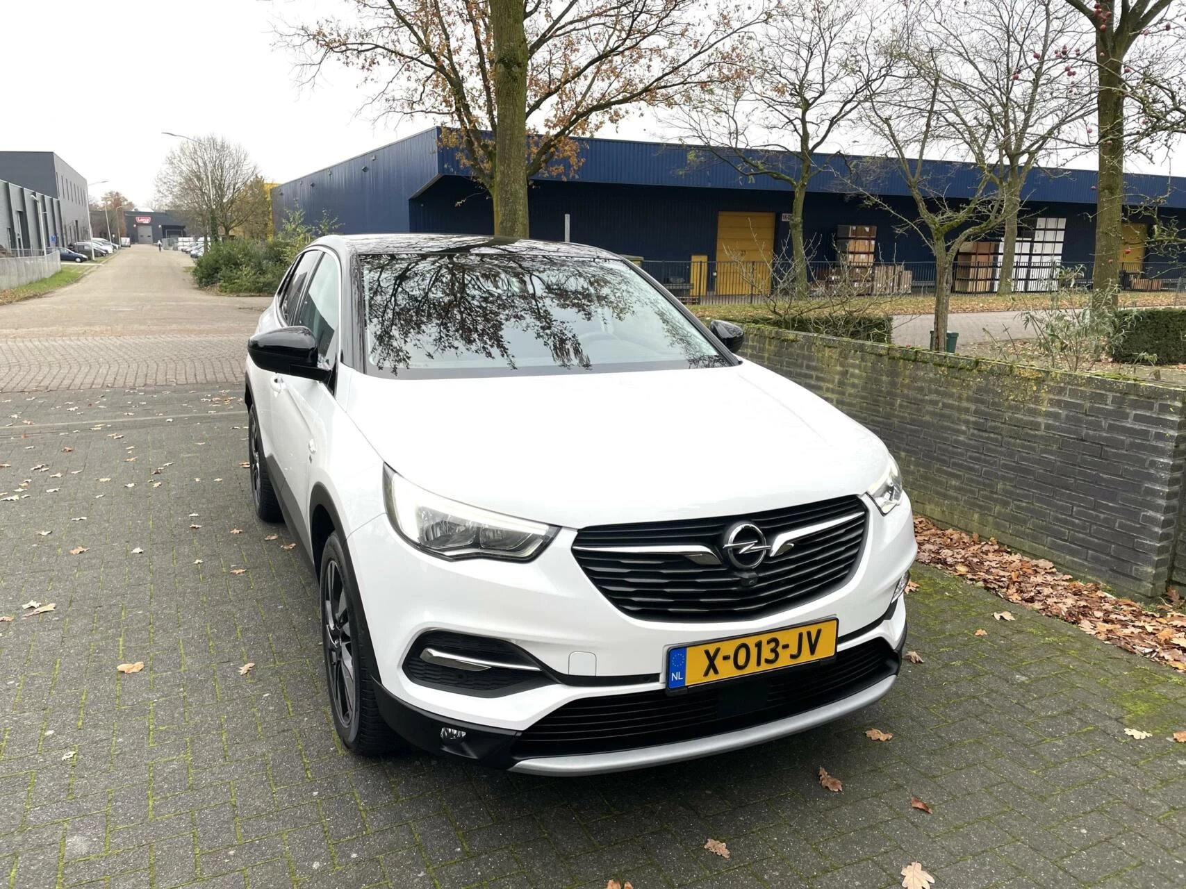 Hoofdafbeelding Opel Grandland X