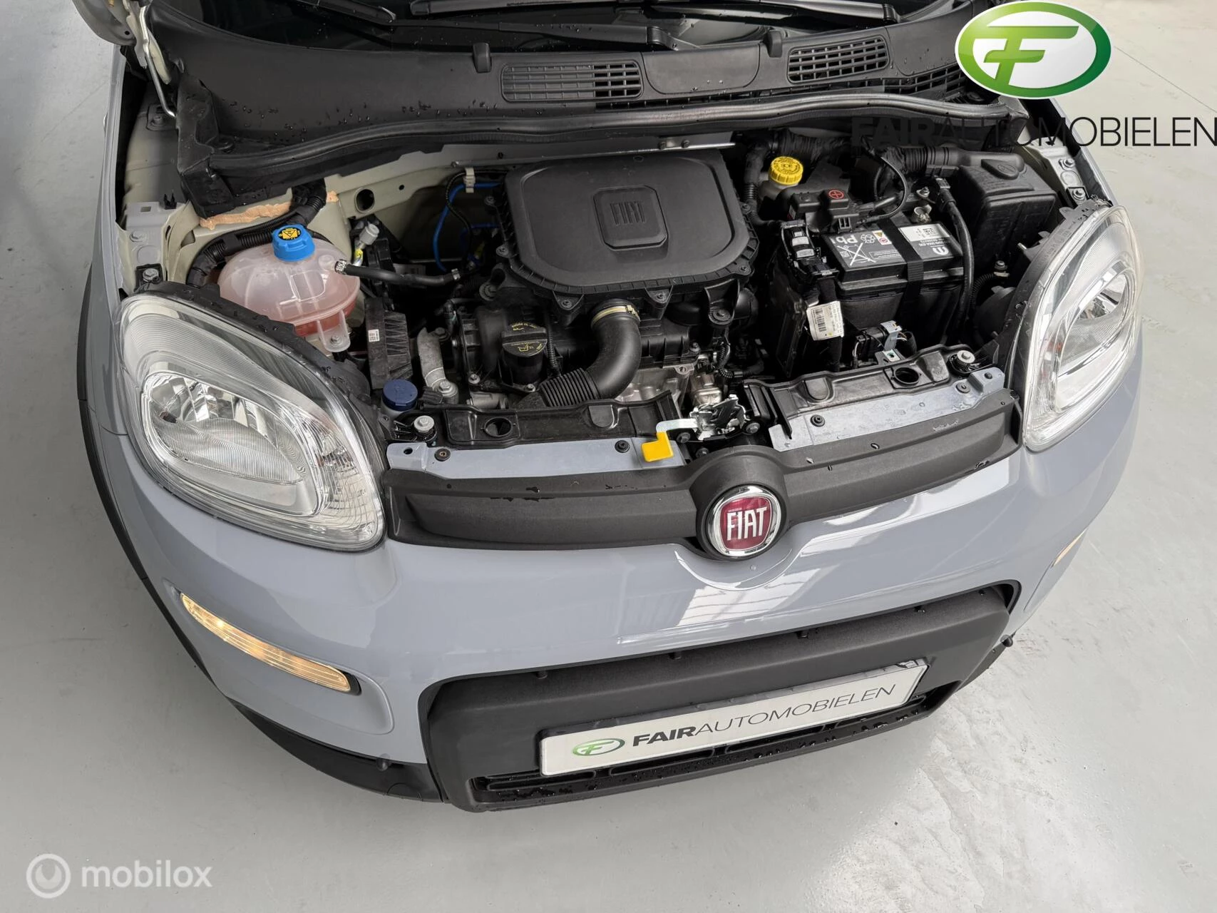 Hoofdafbeelding Fiat Panda