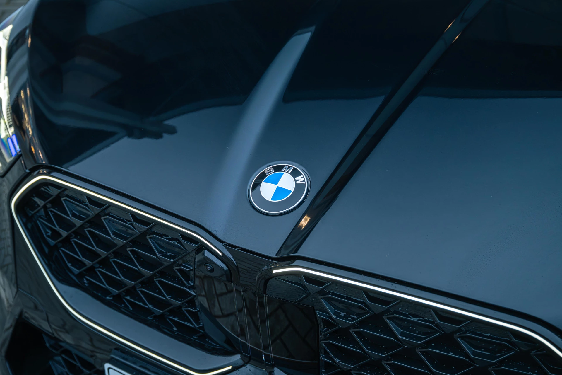 Hoofdafbeelding BMW X2