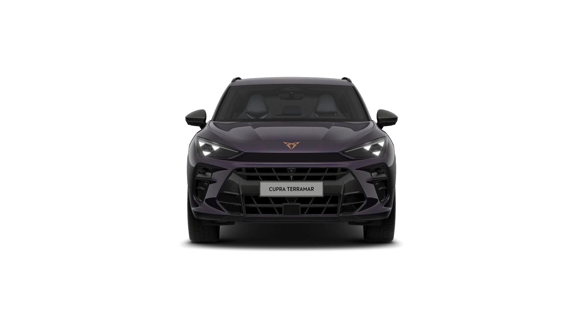 Hoofdafbeelding CUPRA Terramar