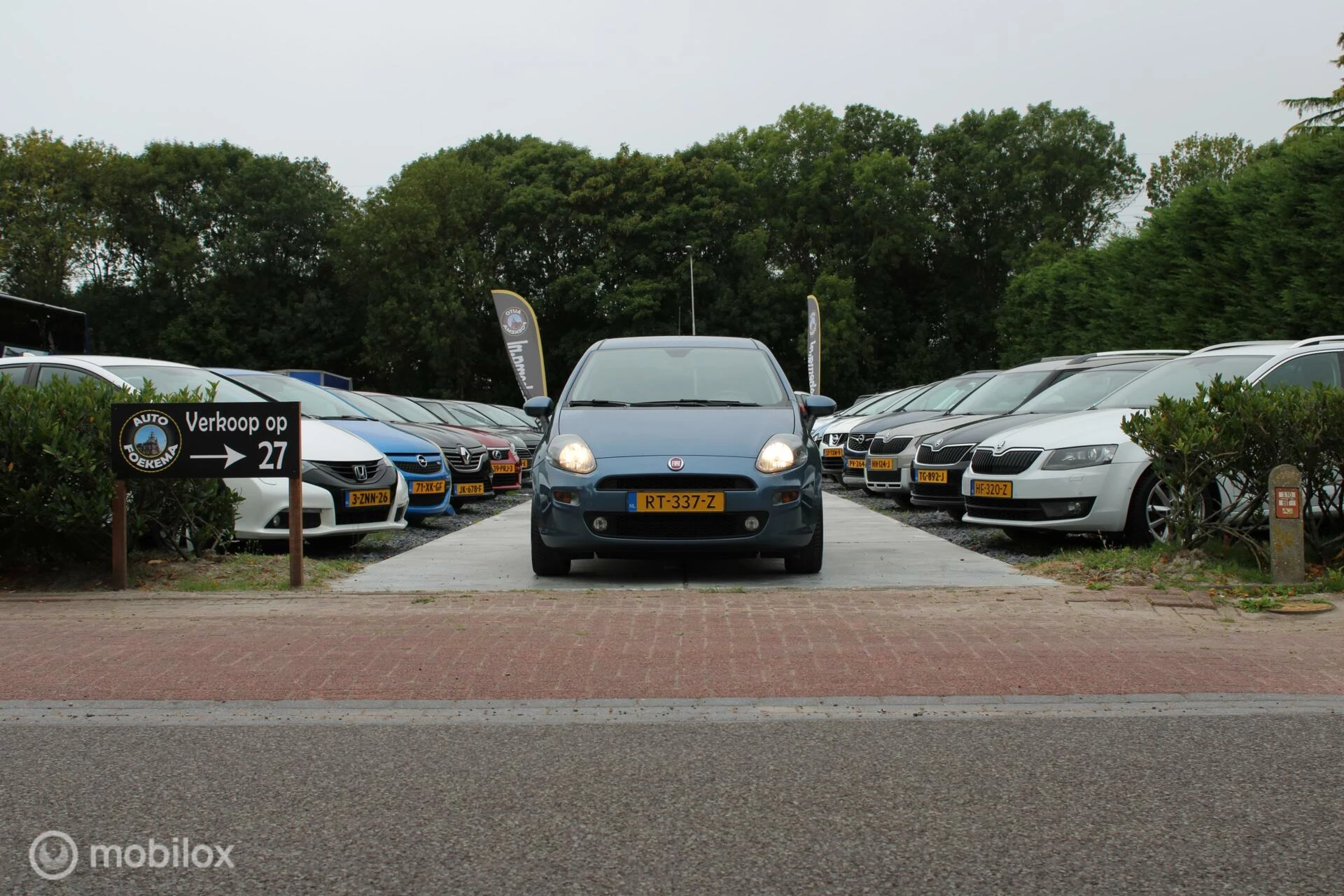 Hoofdafbeelding Fiat Punto