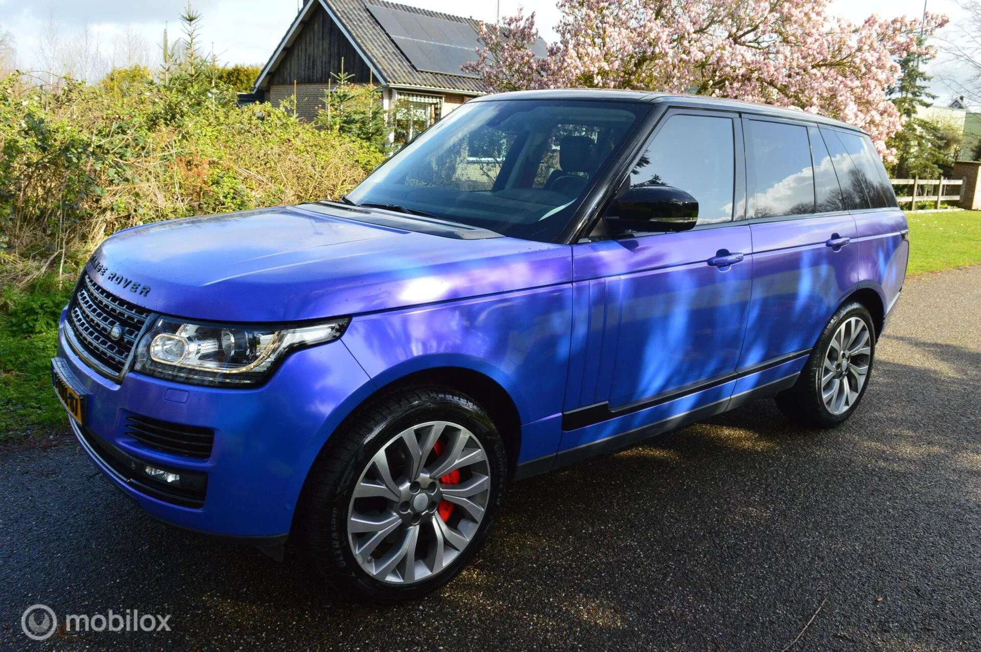 Hoofdafbeelding Land Rover Range Rover