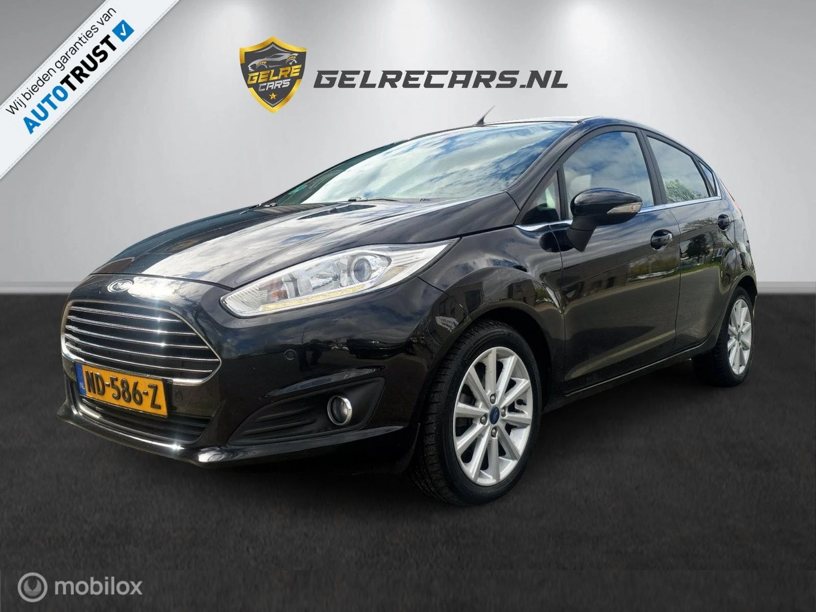 Hoofdafbeelding Ford Fiesta