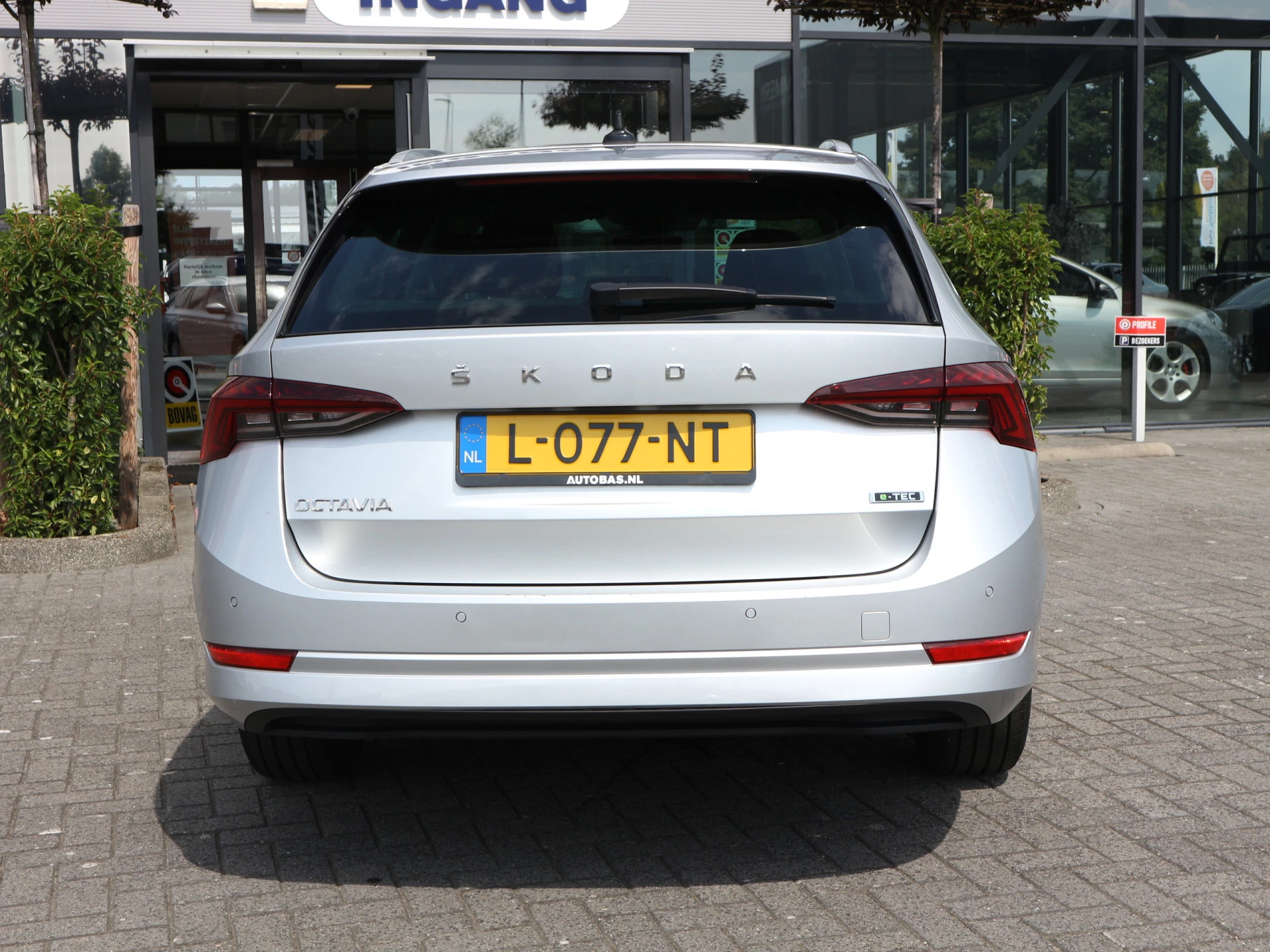 Hoofdafbeelding Škoda Octavia