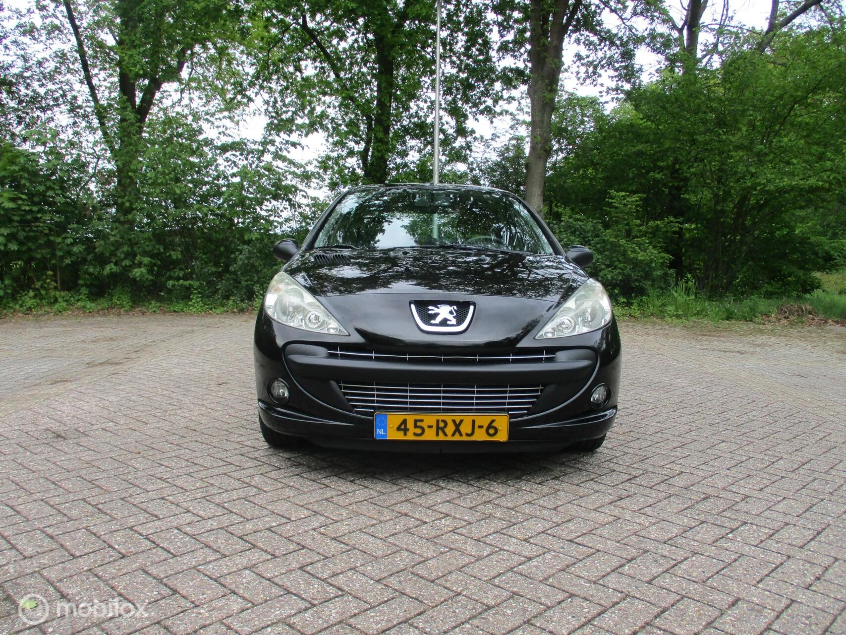 Hoofdafbeelding Peugeot 206
