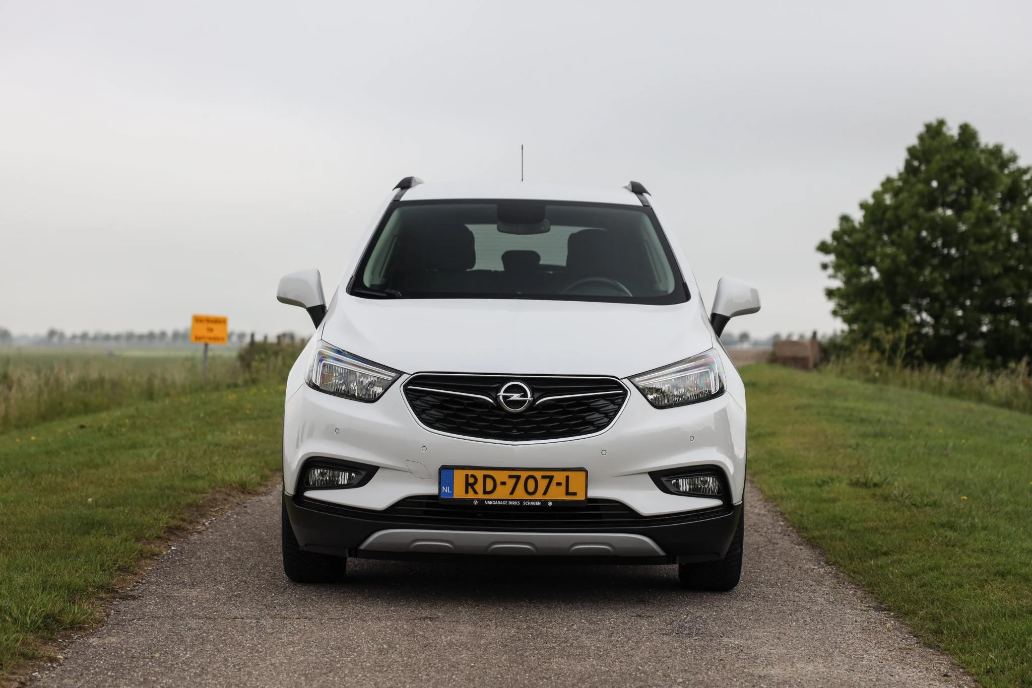 Hoofdafbeelding Opel Mokka X