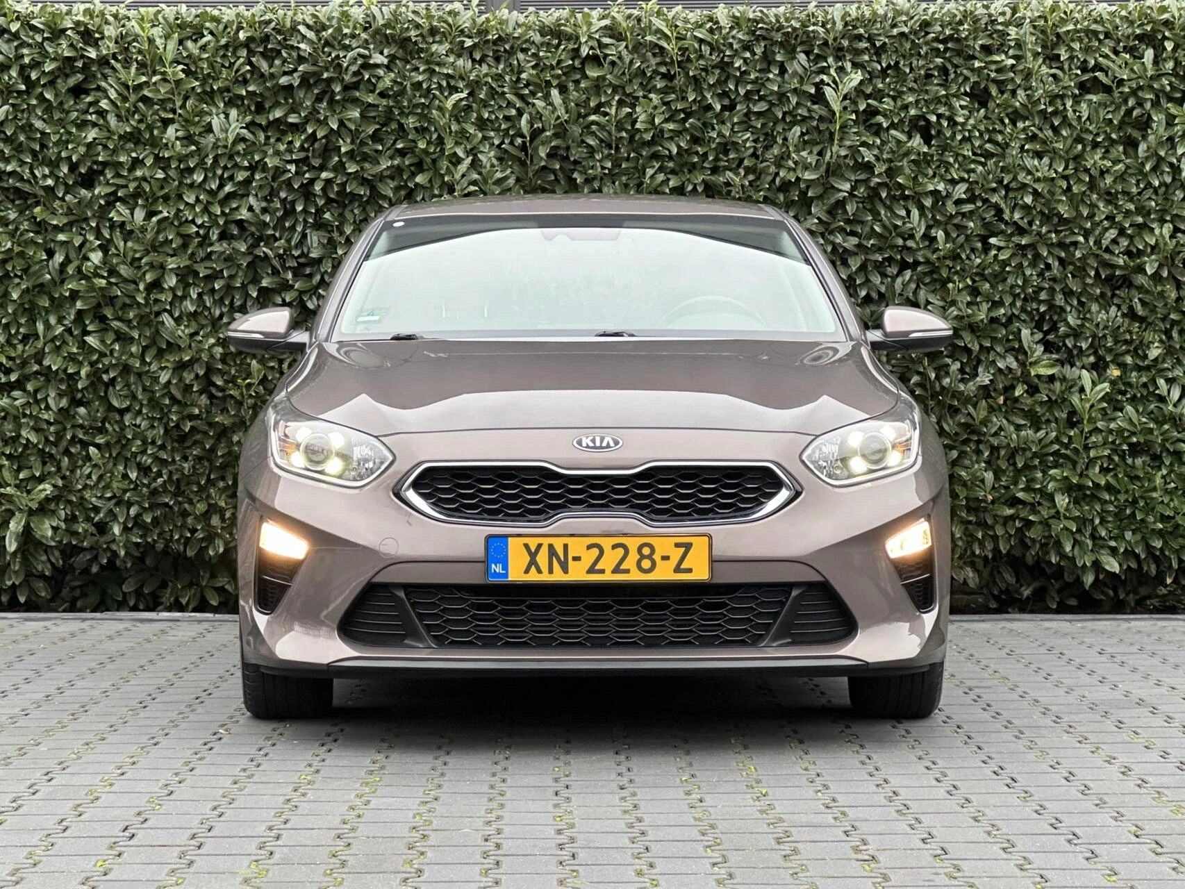 Hoofdafbeelding Kia Ceed