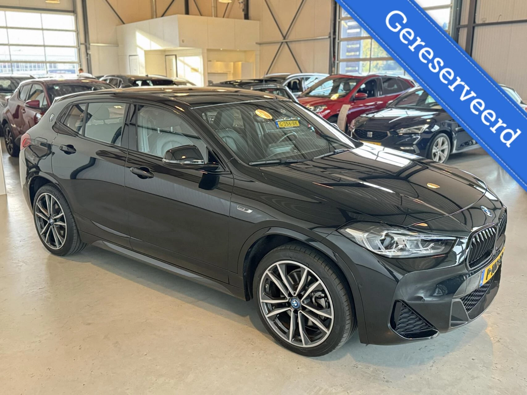 Hoofdafbeelding BMW X2