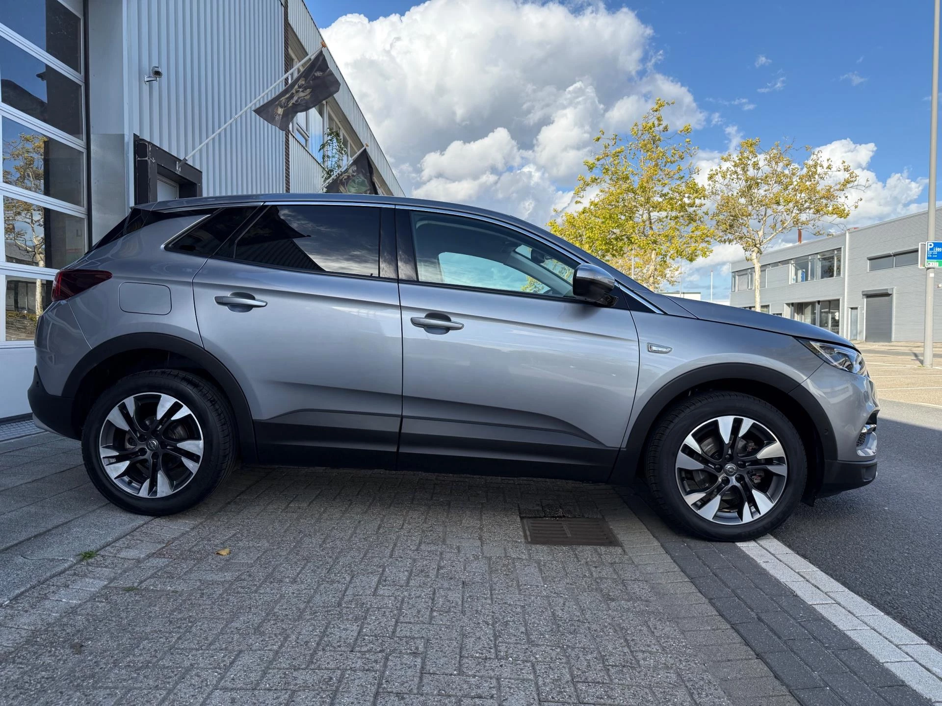 Hoofdafbeelding Opel Grandland X