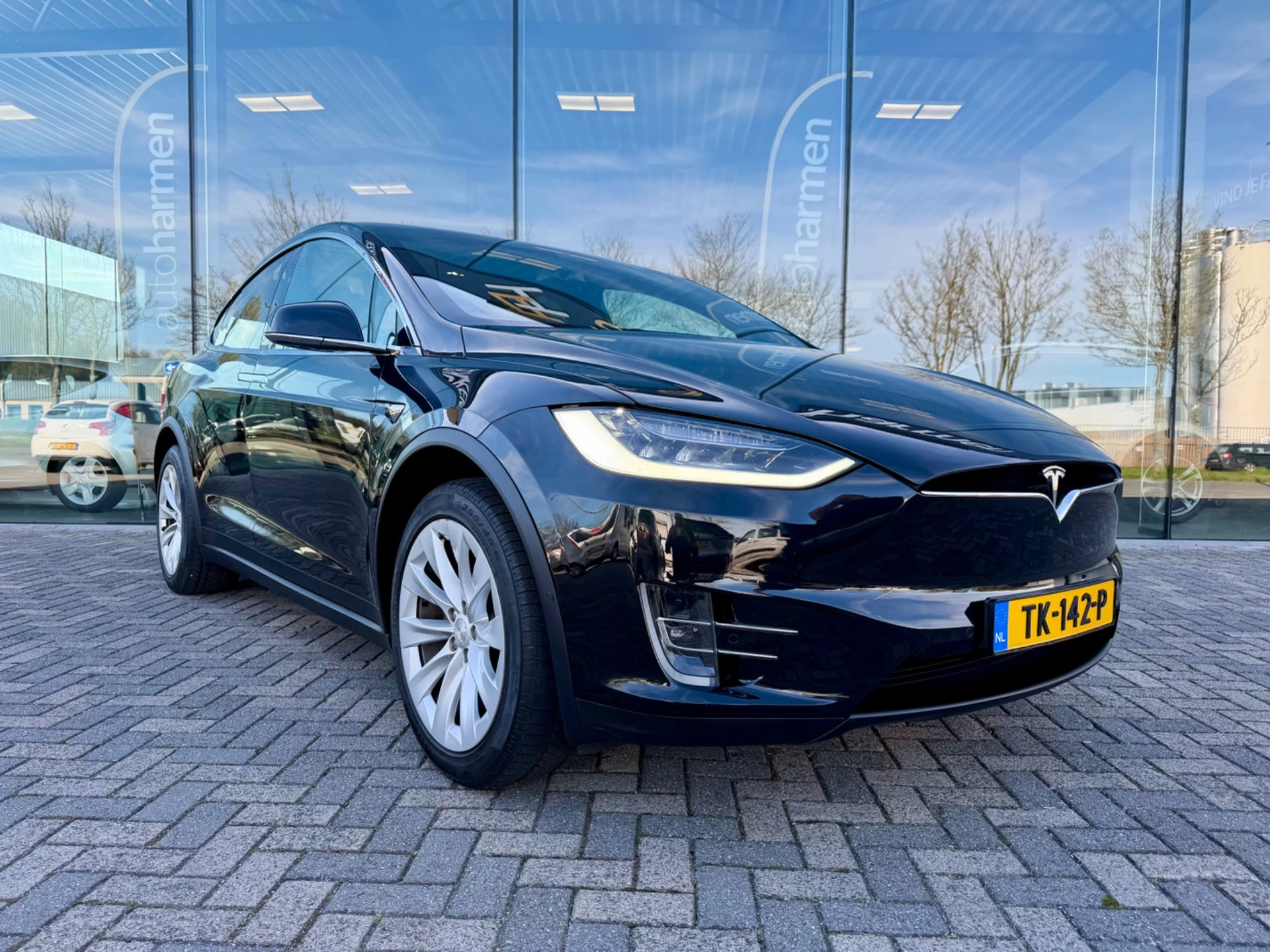 Hoofdafbeelding Tesla Model X