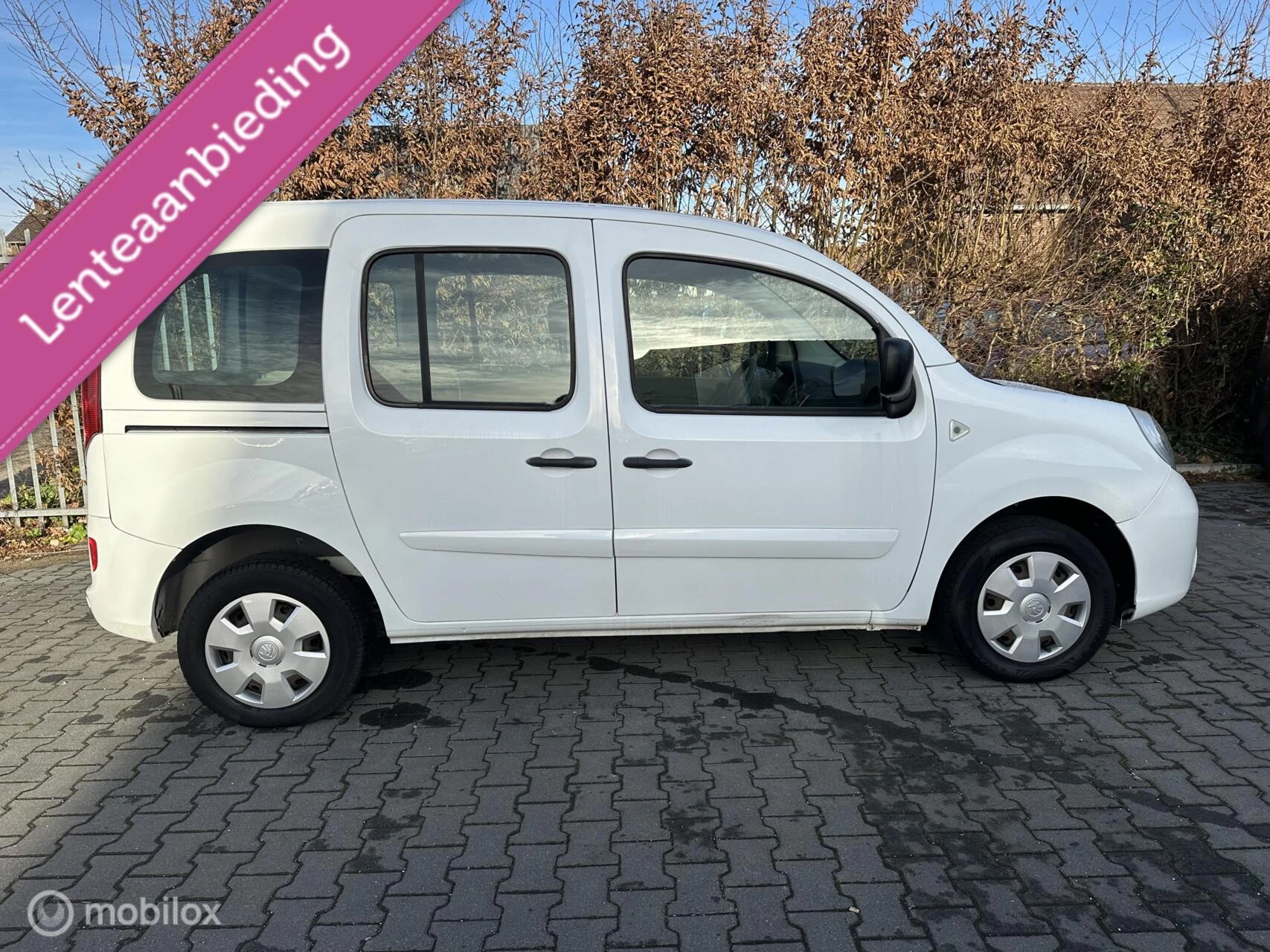 Hoofdafbeelding Renault Kangoo