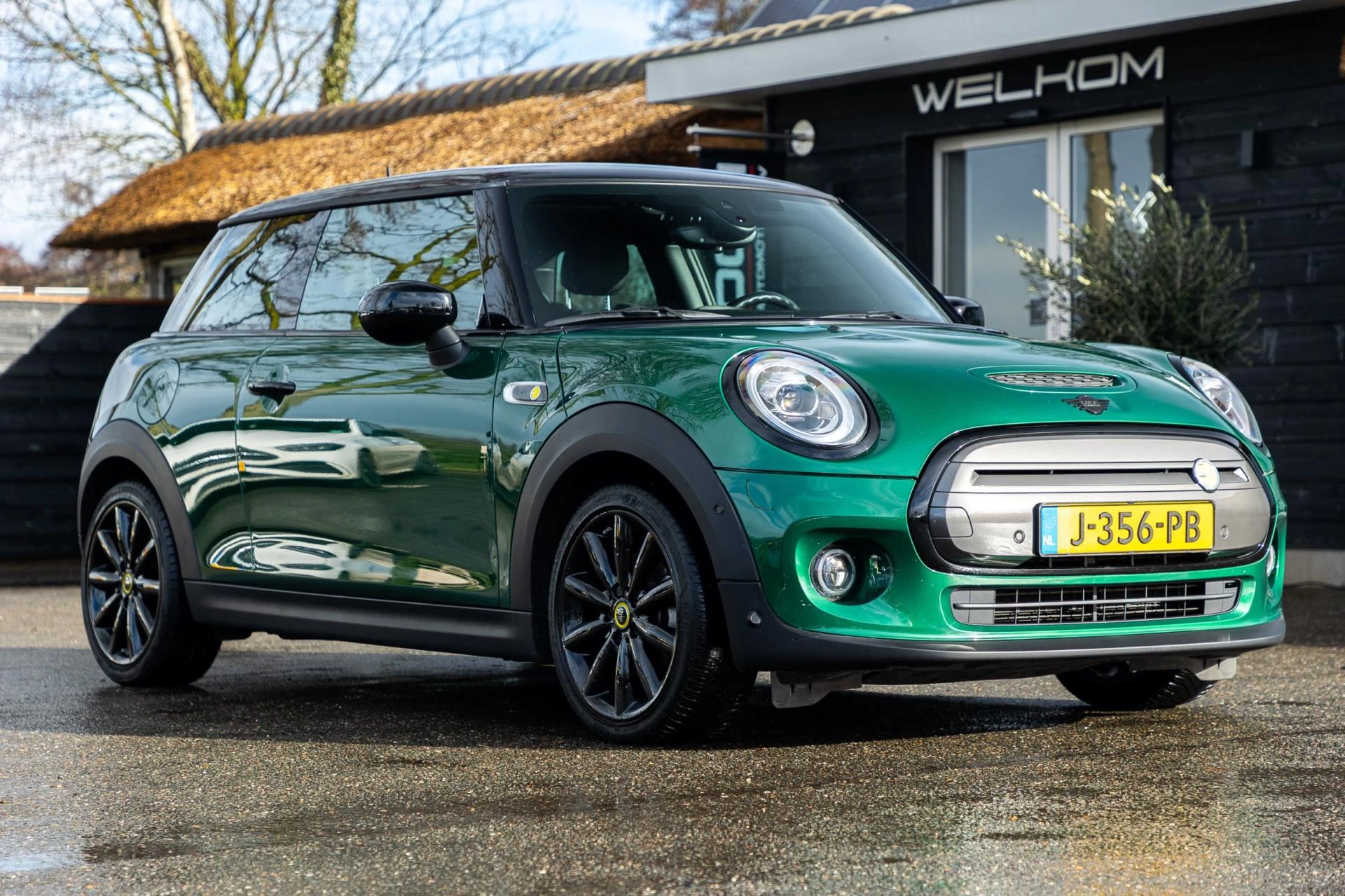 Hoofdafbeelding MINI Electric