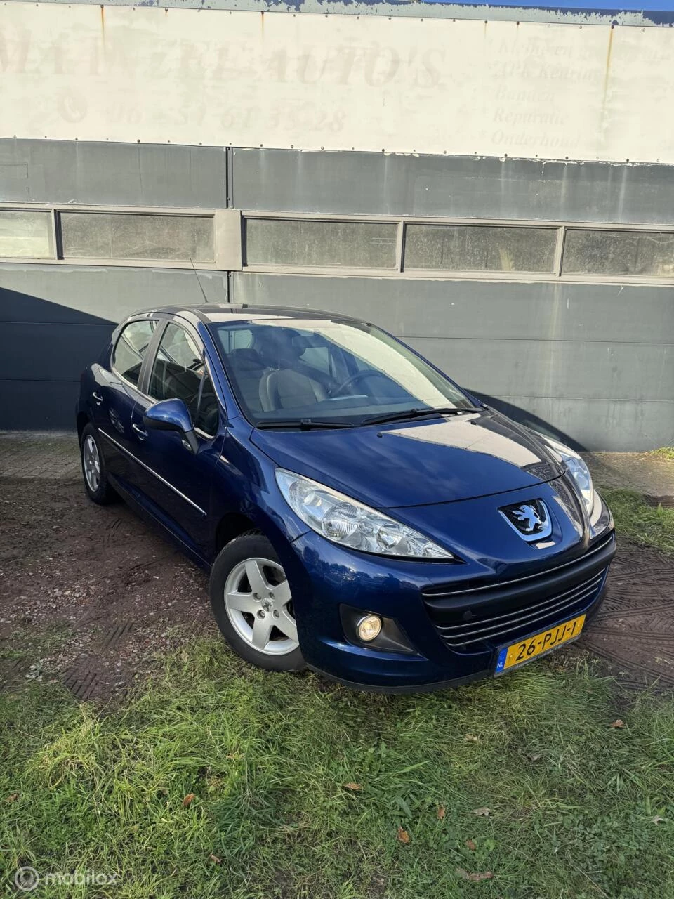 Hoofdafbeelding Peugeot 207