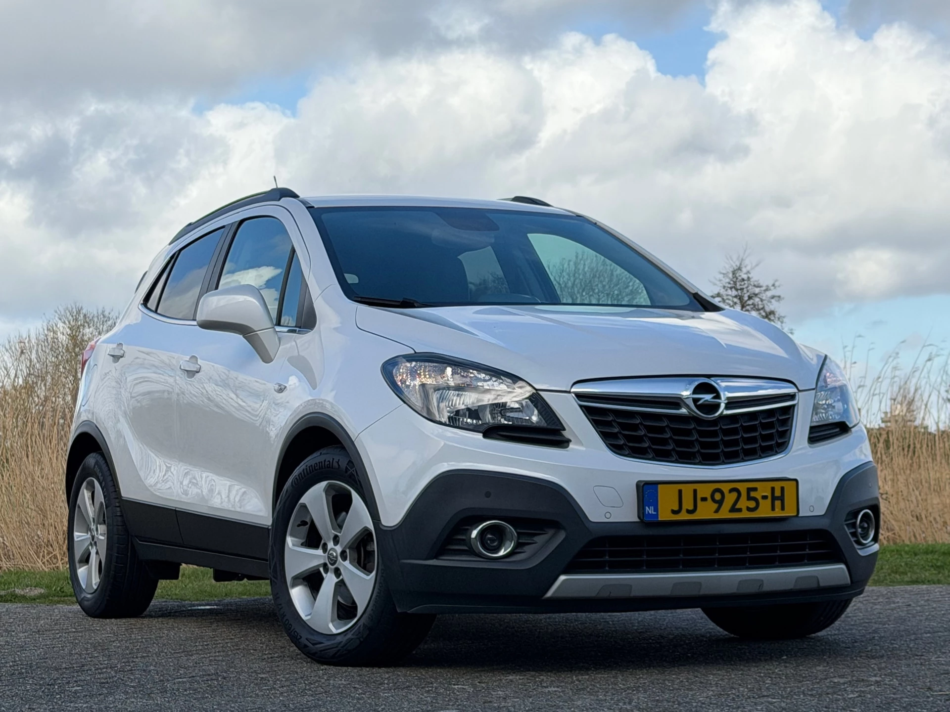Hoofdafbeelding Opel Mokka
