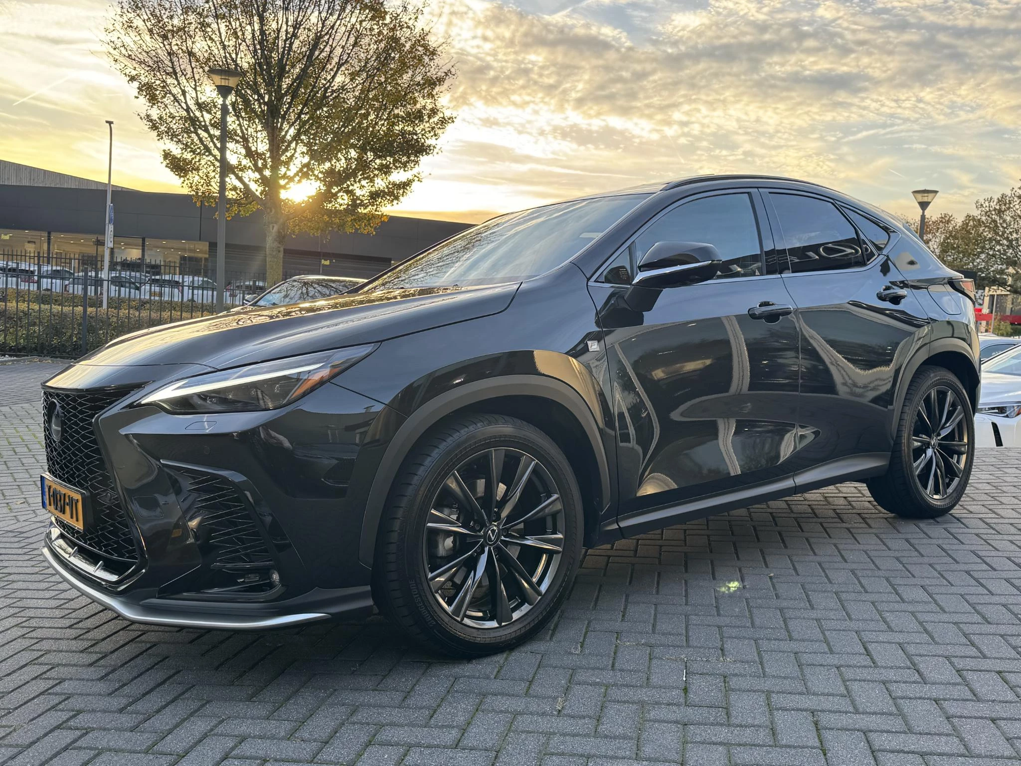 Hoofdafbeelding Lexus NX