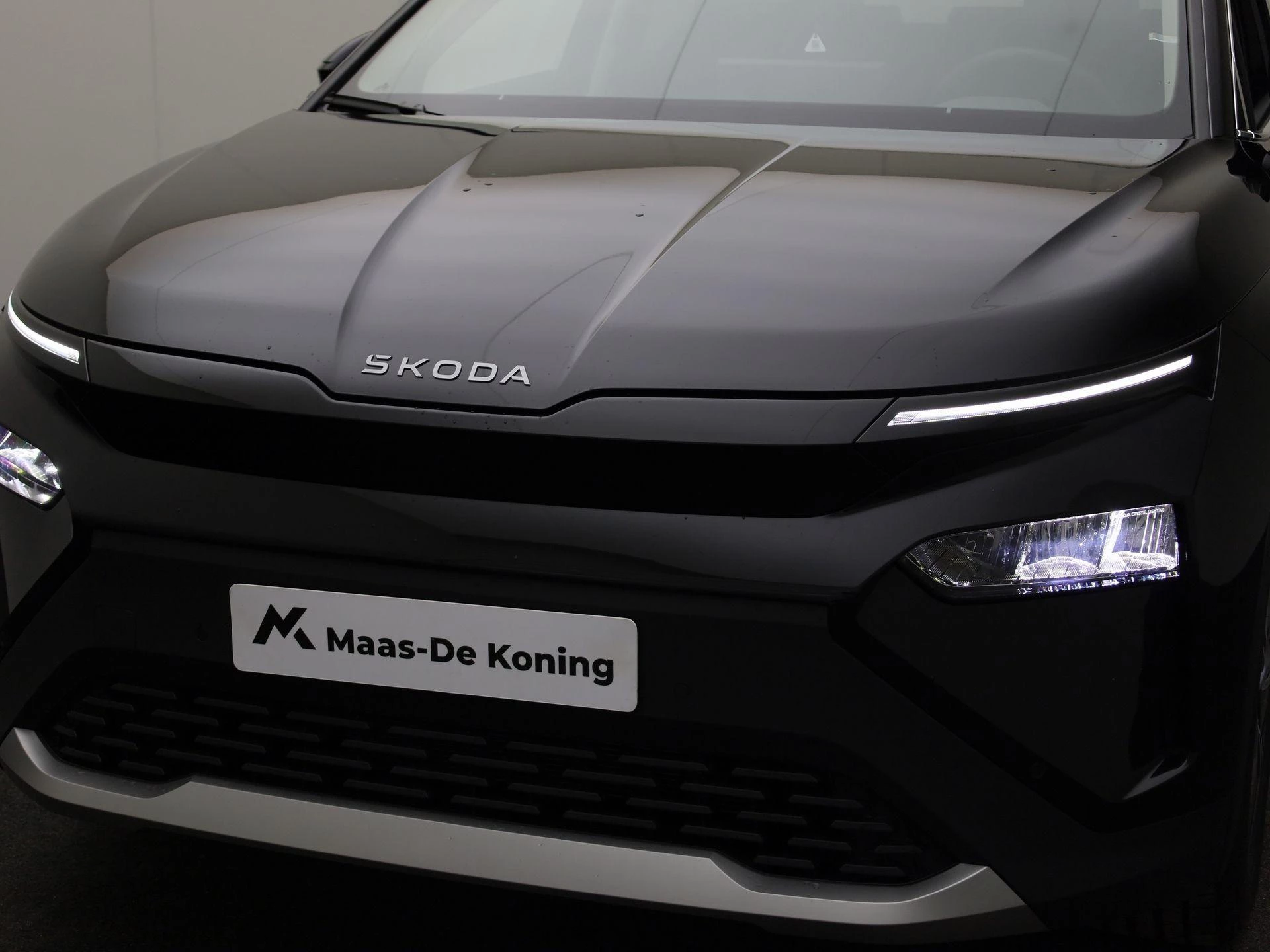 Hoofdafbeelding Škoda Elroq