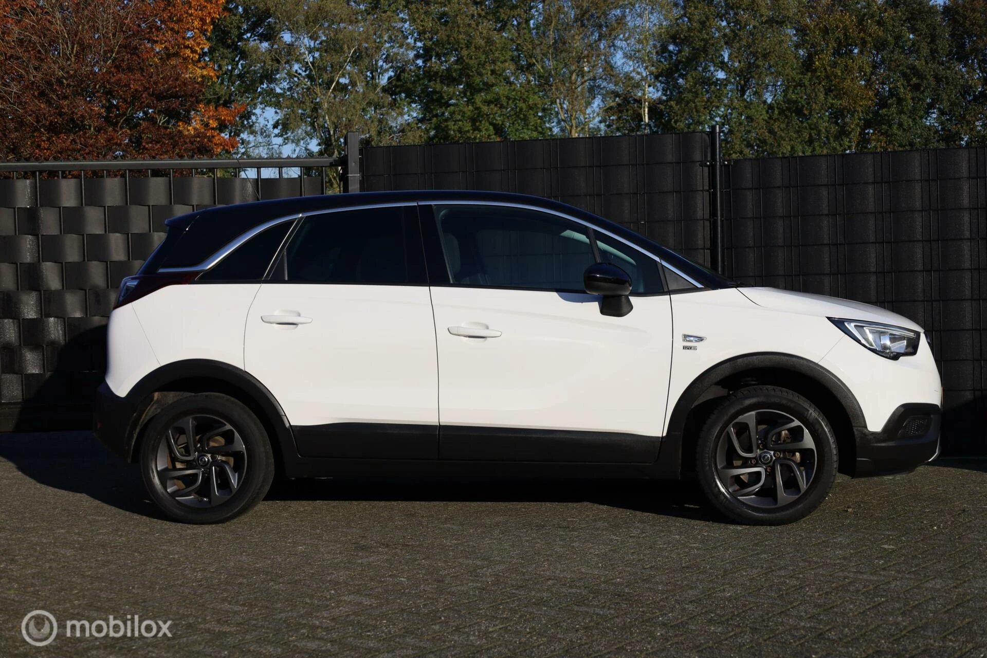 Hoofdafbeelding Opel Crossland X