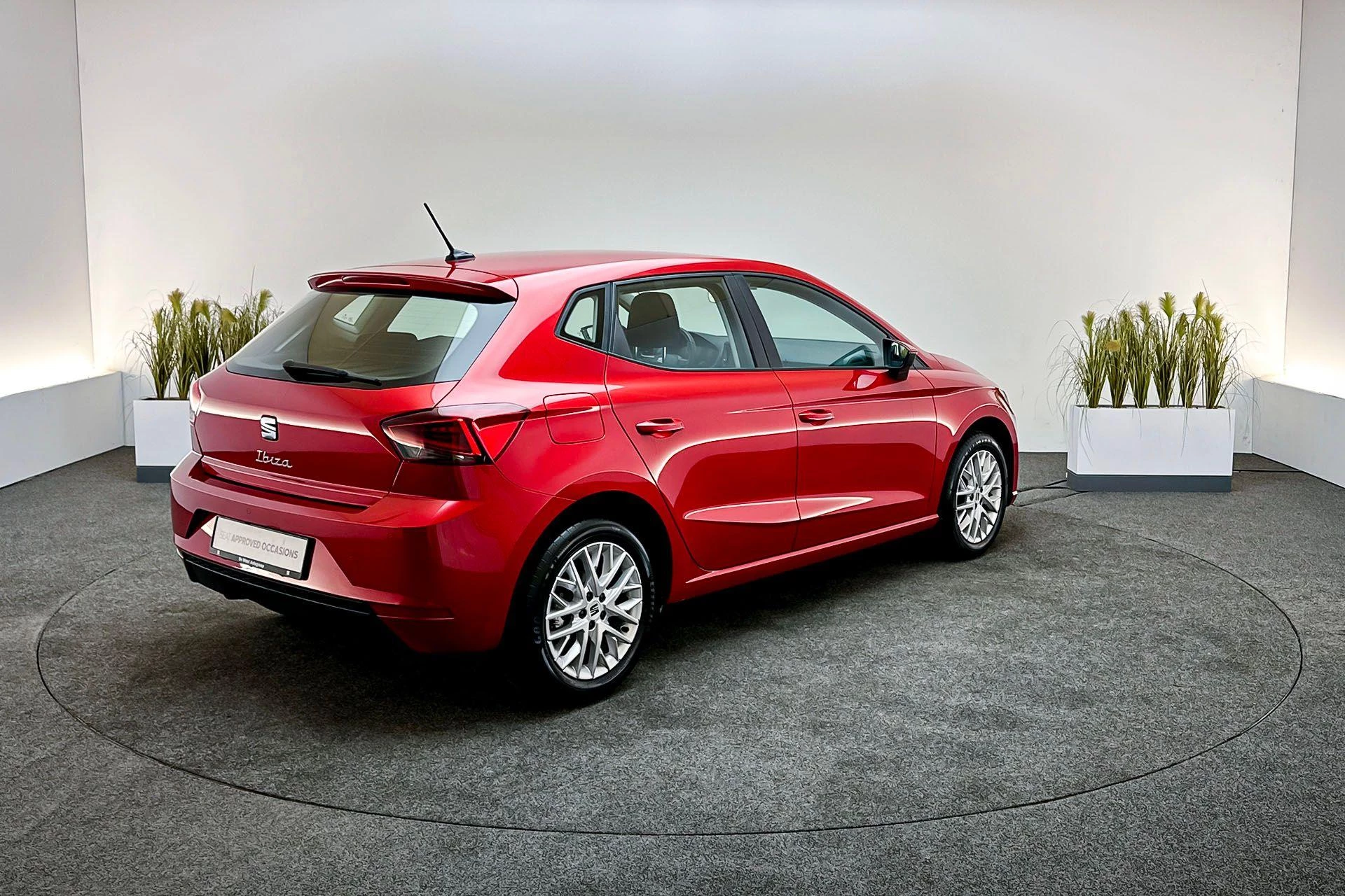 Hoofdafbeelding SEAT Ibiza