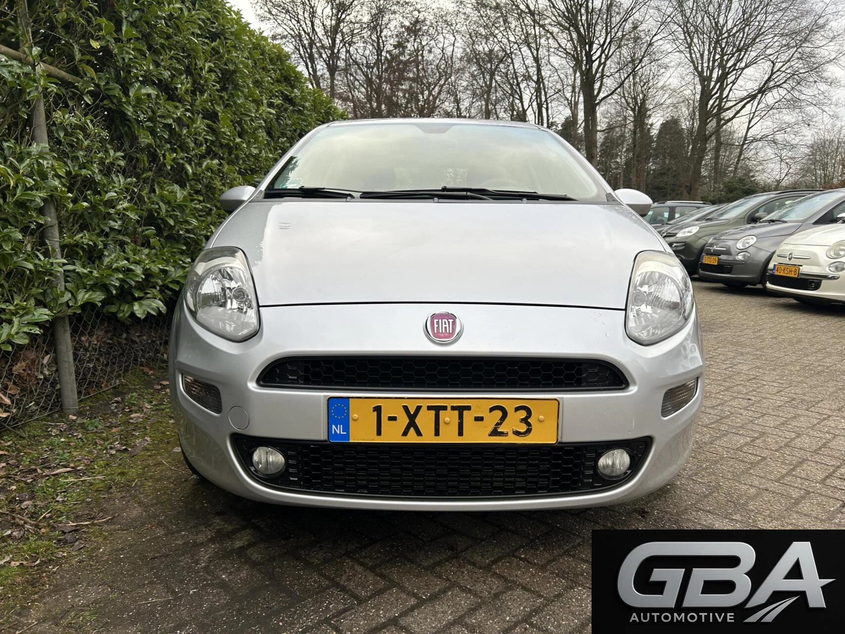 Hoofdafbeelding Fiat Punto