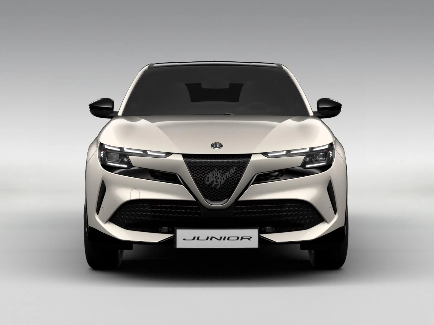 Hoofdafbeelding Alfa Romeo Junior