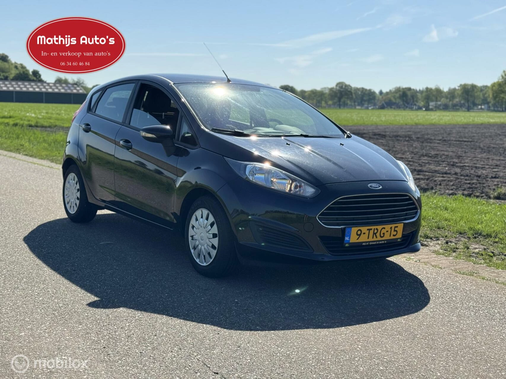 Hoofdafbeelding Ford Fiesta