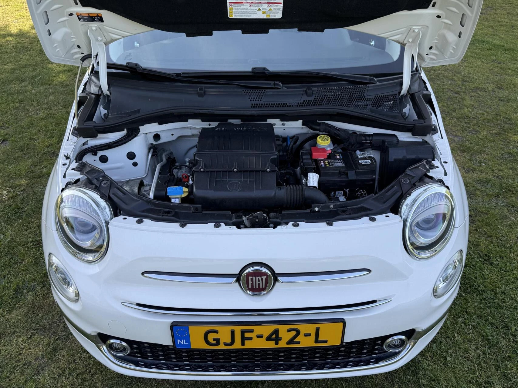 Hoofdafbeelding Fiat 500C