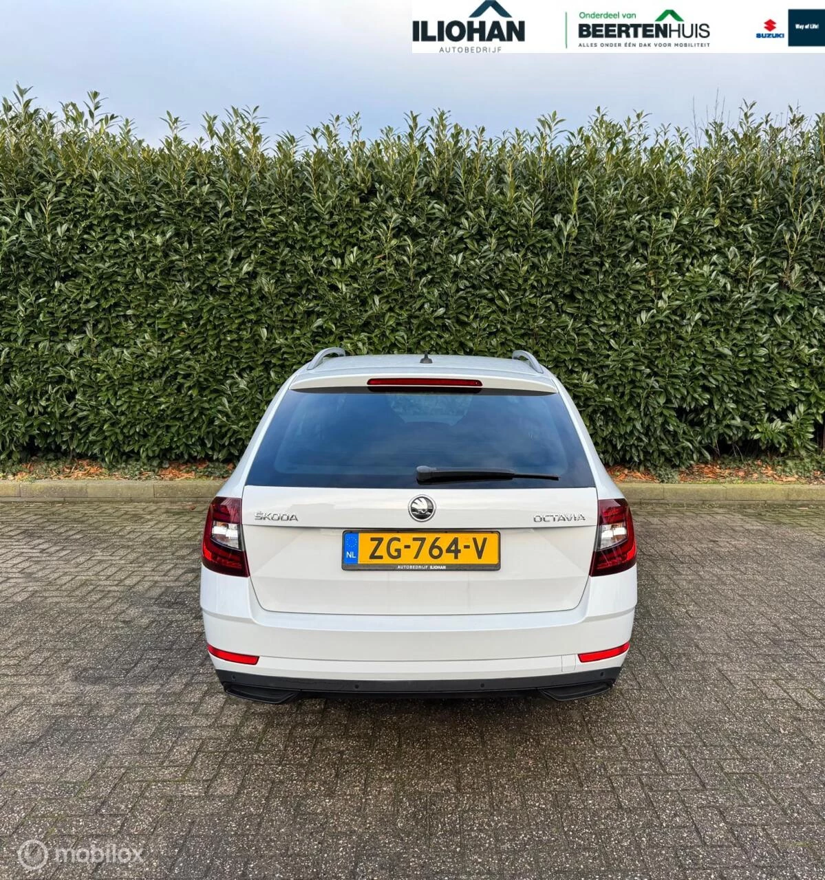 Hoofdafbeelding Škoda Octavia