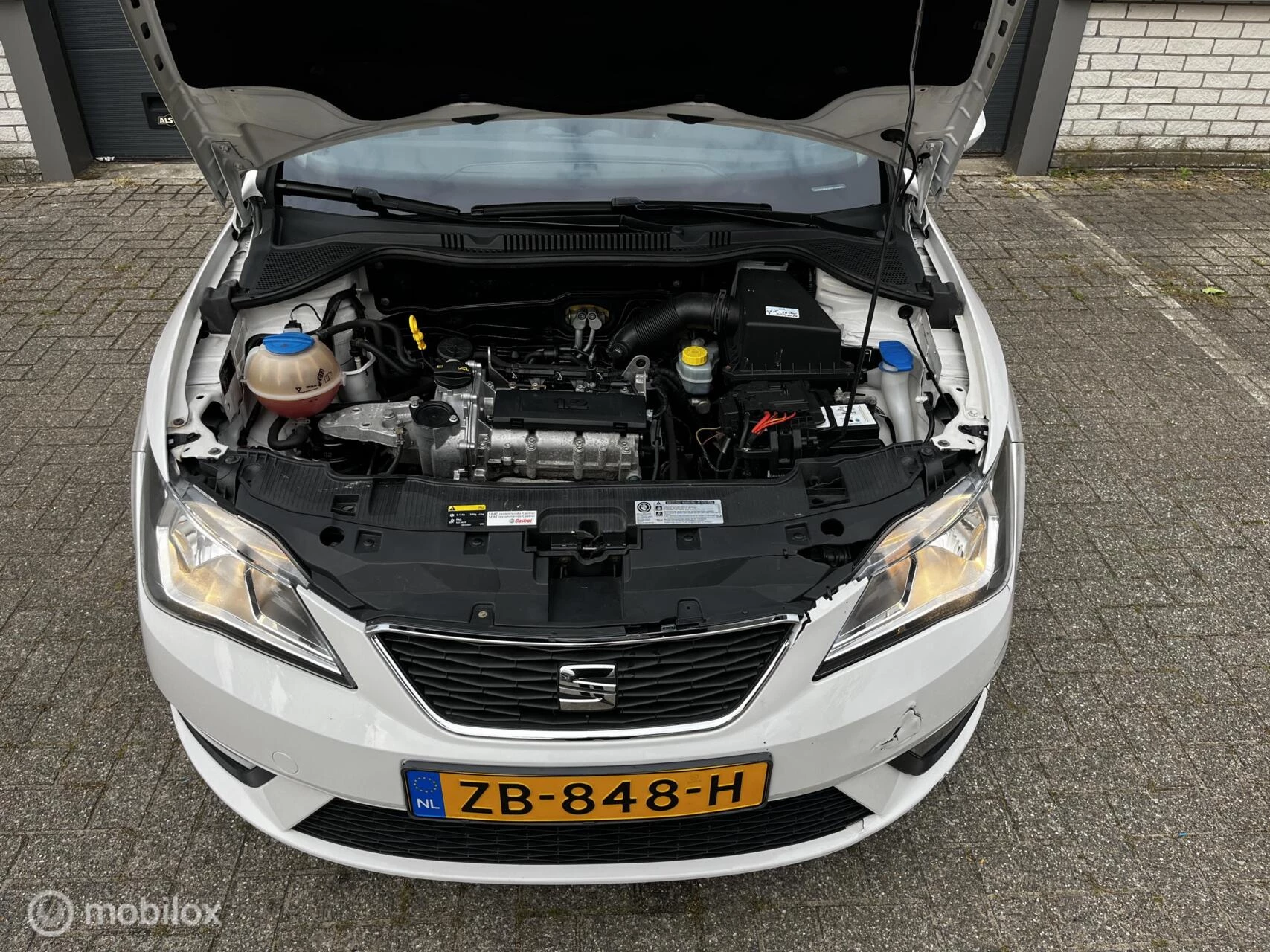 Hoofdafbeelding SEAT Ibiza