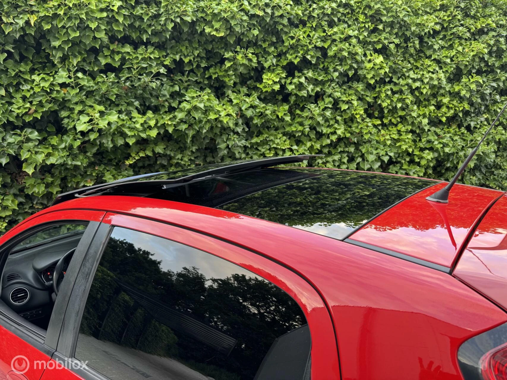 Hoofdafbeelding Fiat Punto