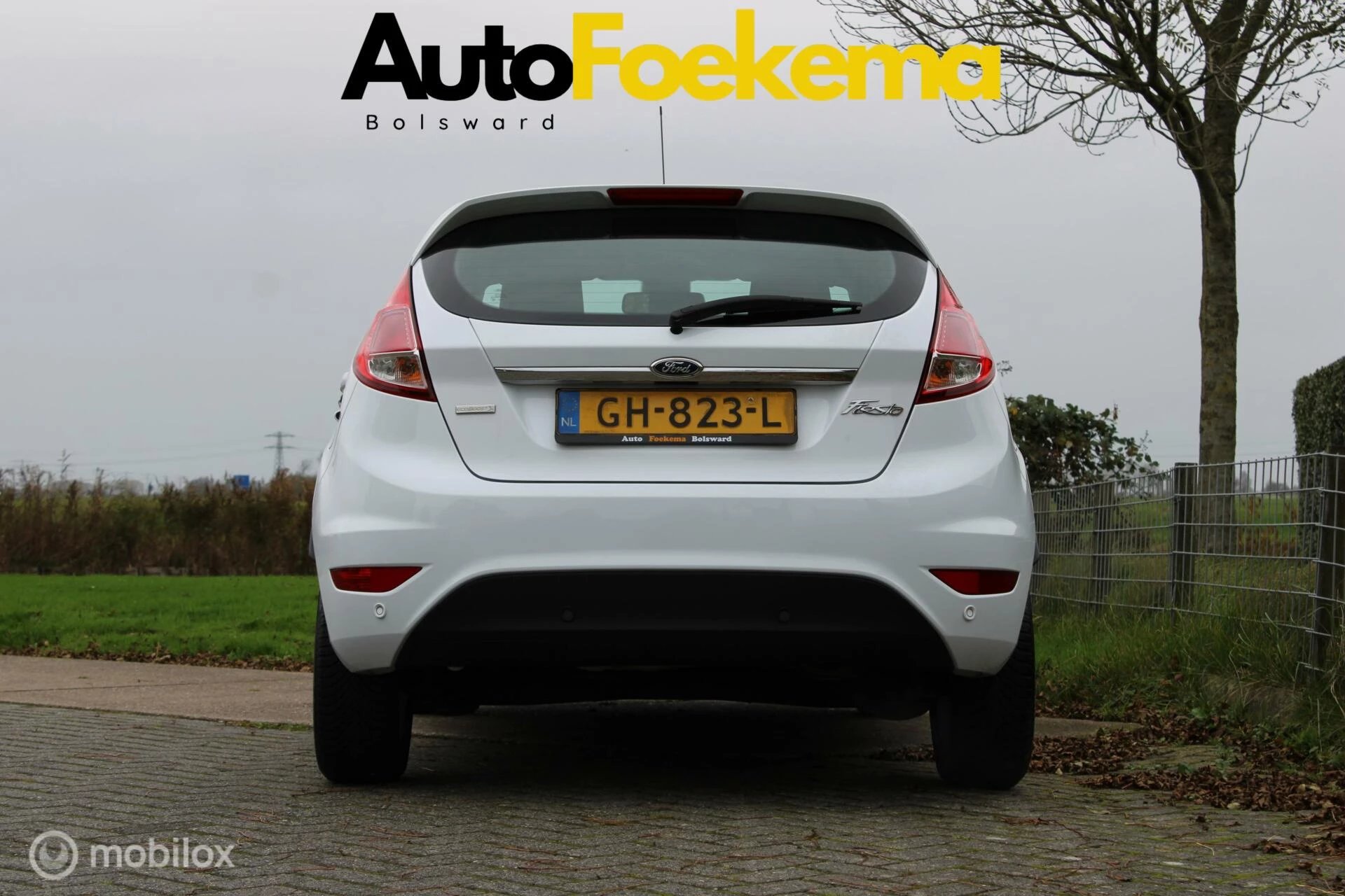 Hoofdafbeelding Ford Fiesta