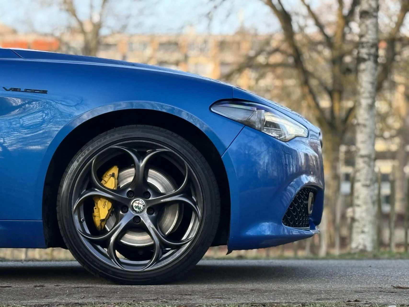 Hoofdafbeelding Alfa Romeo Giulia