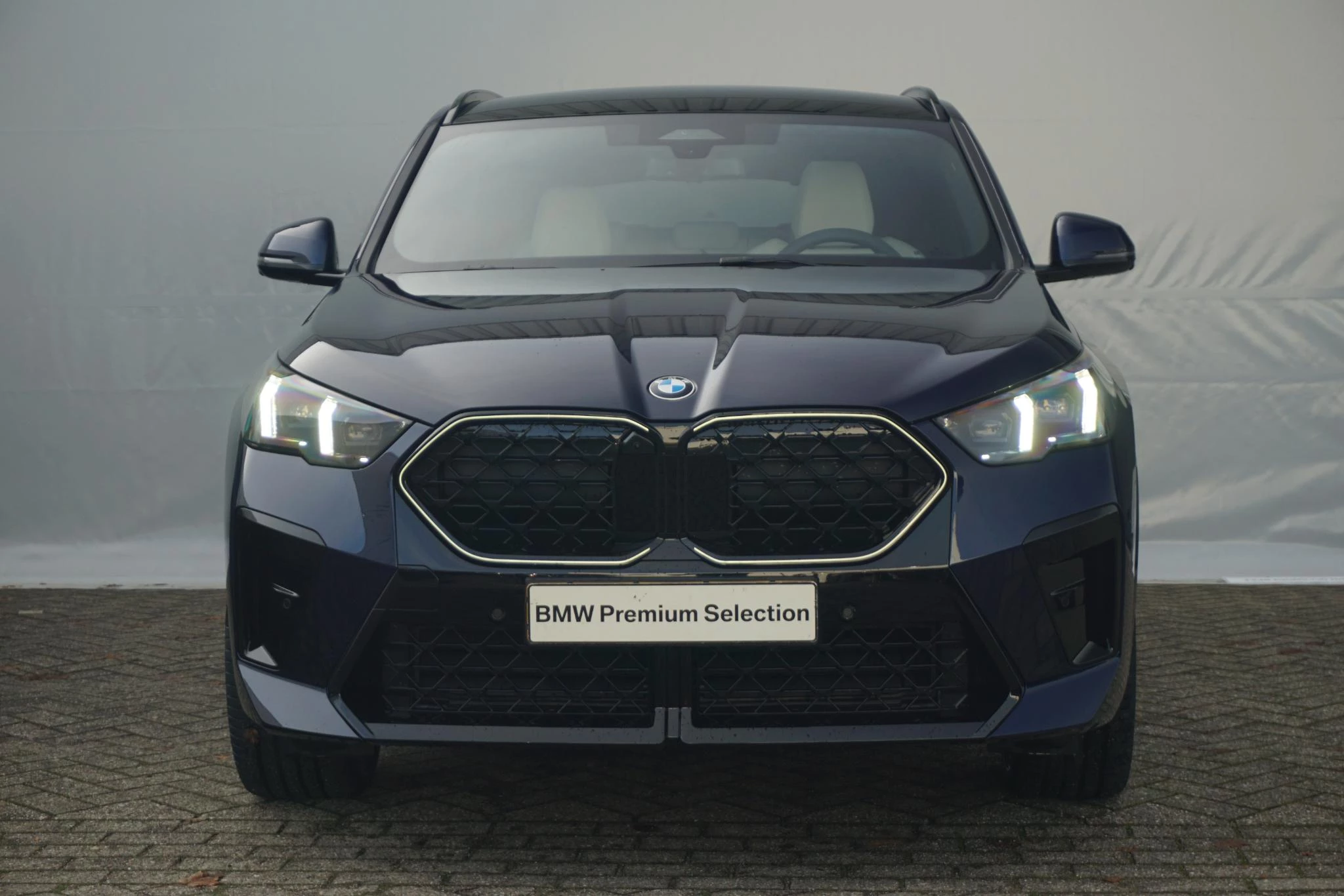 Hoofdafbeelding BMW X2