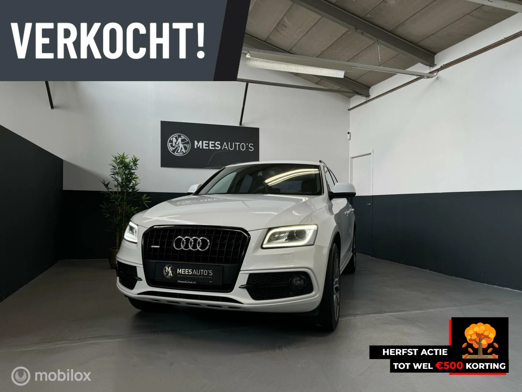 Hoofdafbeelding Audi Q5