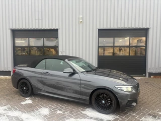 BMW 2 Serie 220I High Executive M-sport I Alcantara I Navi
