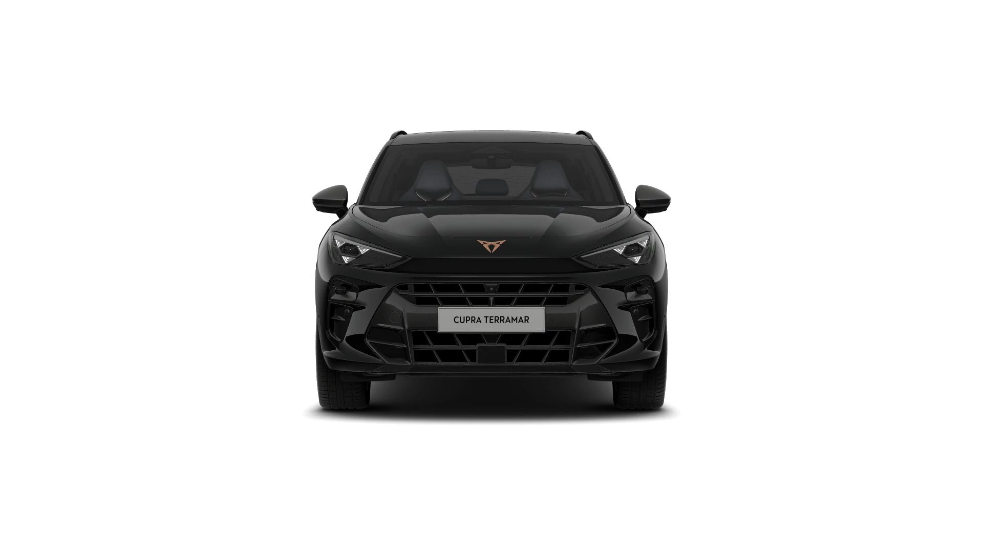 Hoofdafbeelding CUPRA Terramar