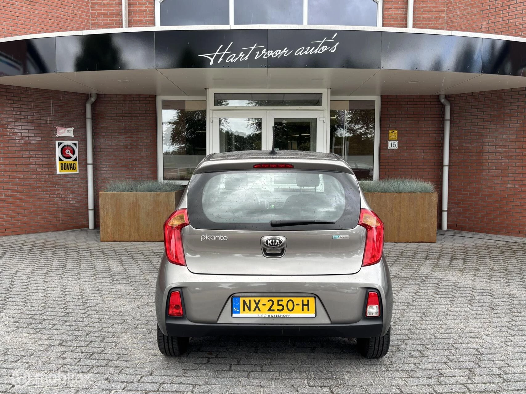 Hoofdafbeelding Kia Picanto