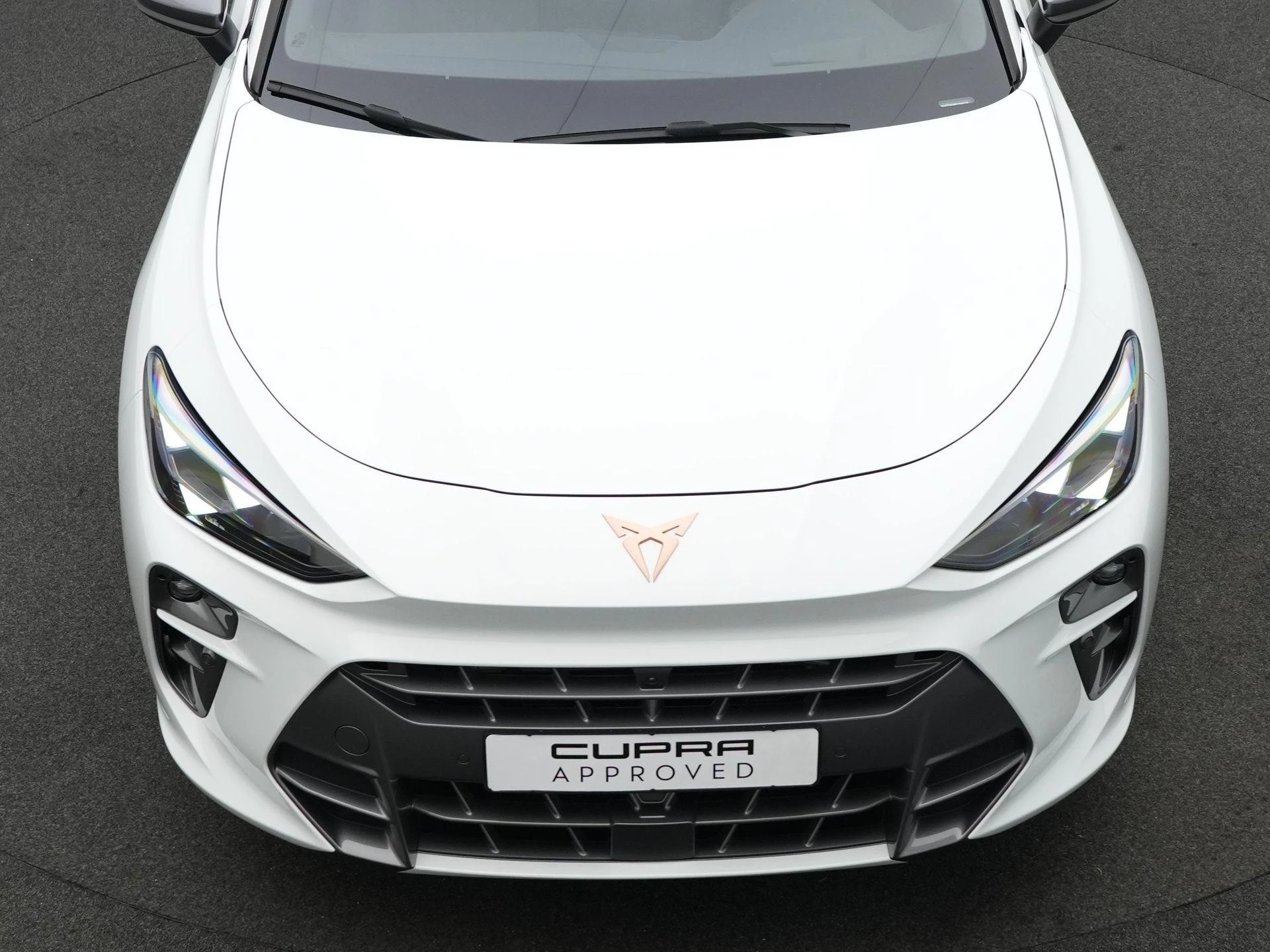 Hoofdafbeelding CUPRA Terramar