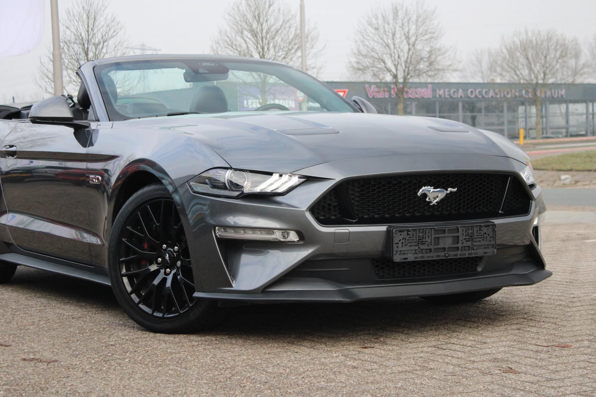 Hoofdafbeelding Ford Mustang