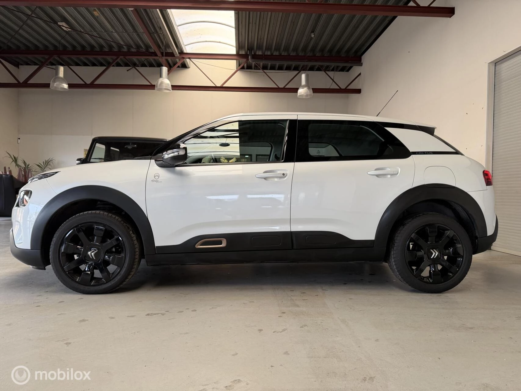 Hoofdafbeelding Citroën C4 Cactus